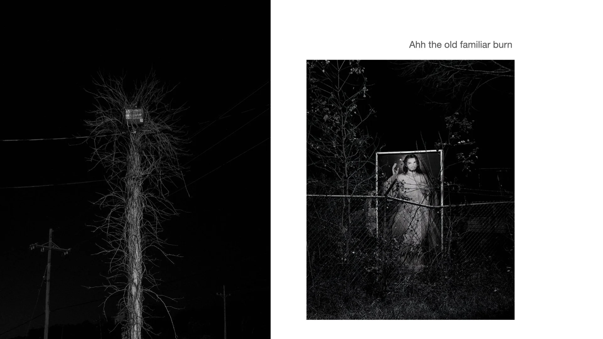 Primary 2023 -TASTE and SEE.008.jpeg