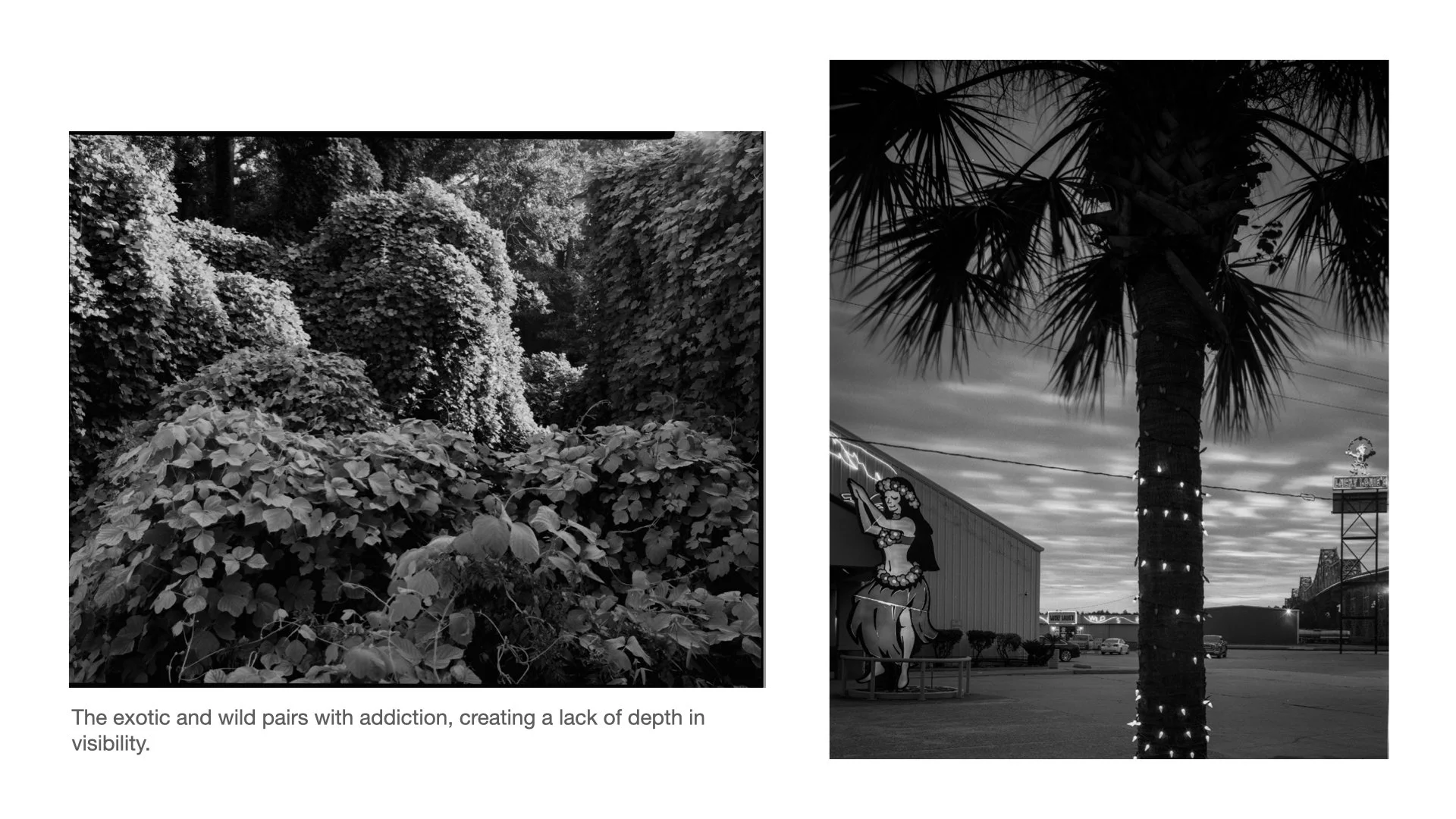 Primary 2023 -TASTE and SEE.009.jpeg