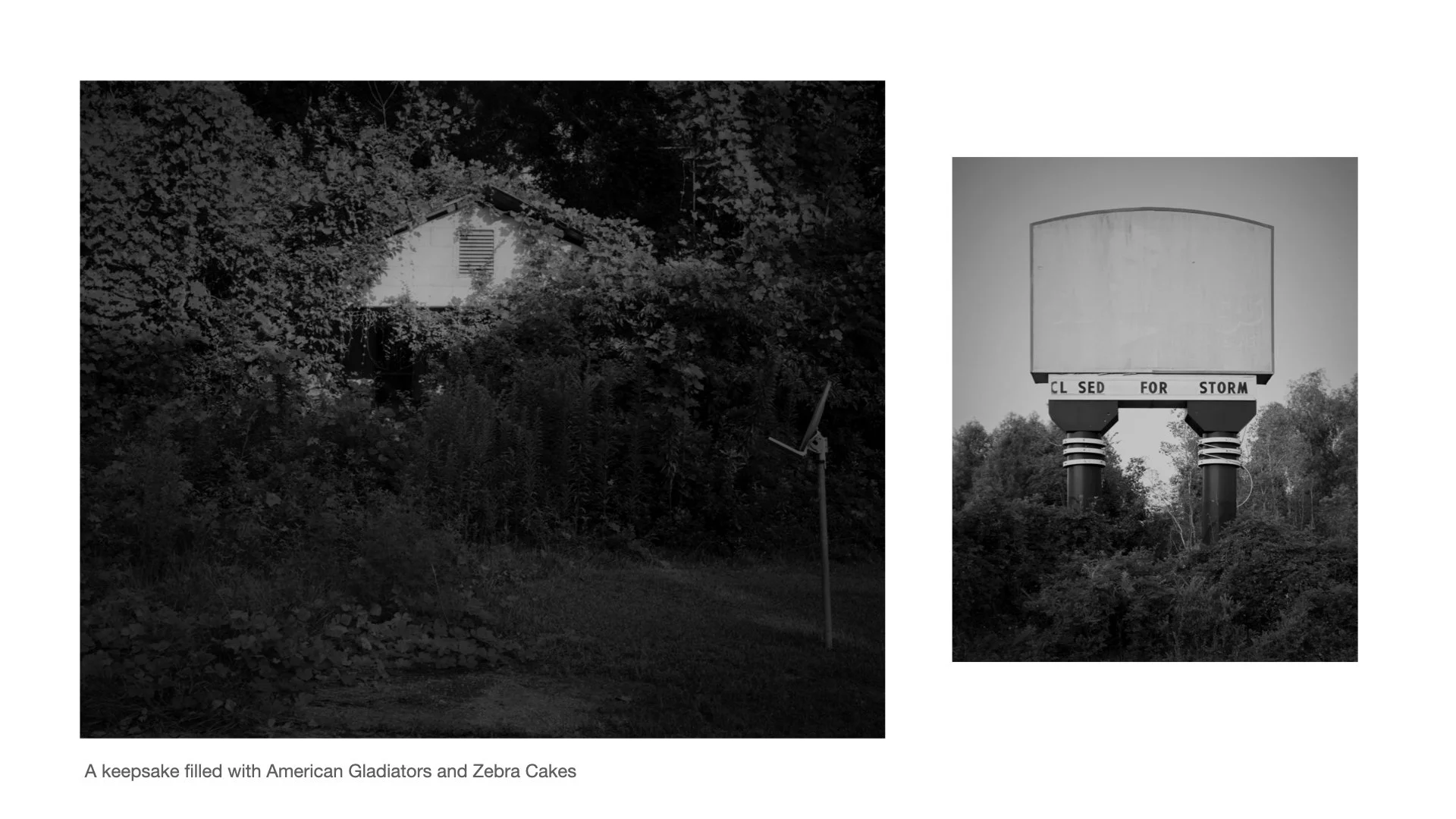 Primary 2023 -TASTE and SEE.016.jpeg