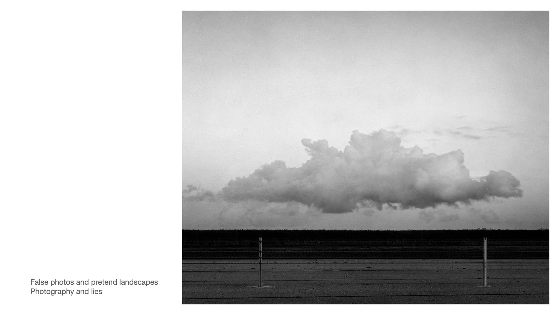 Primary 2023 -TASTE and SEE.017.jpeg