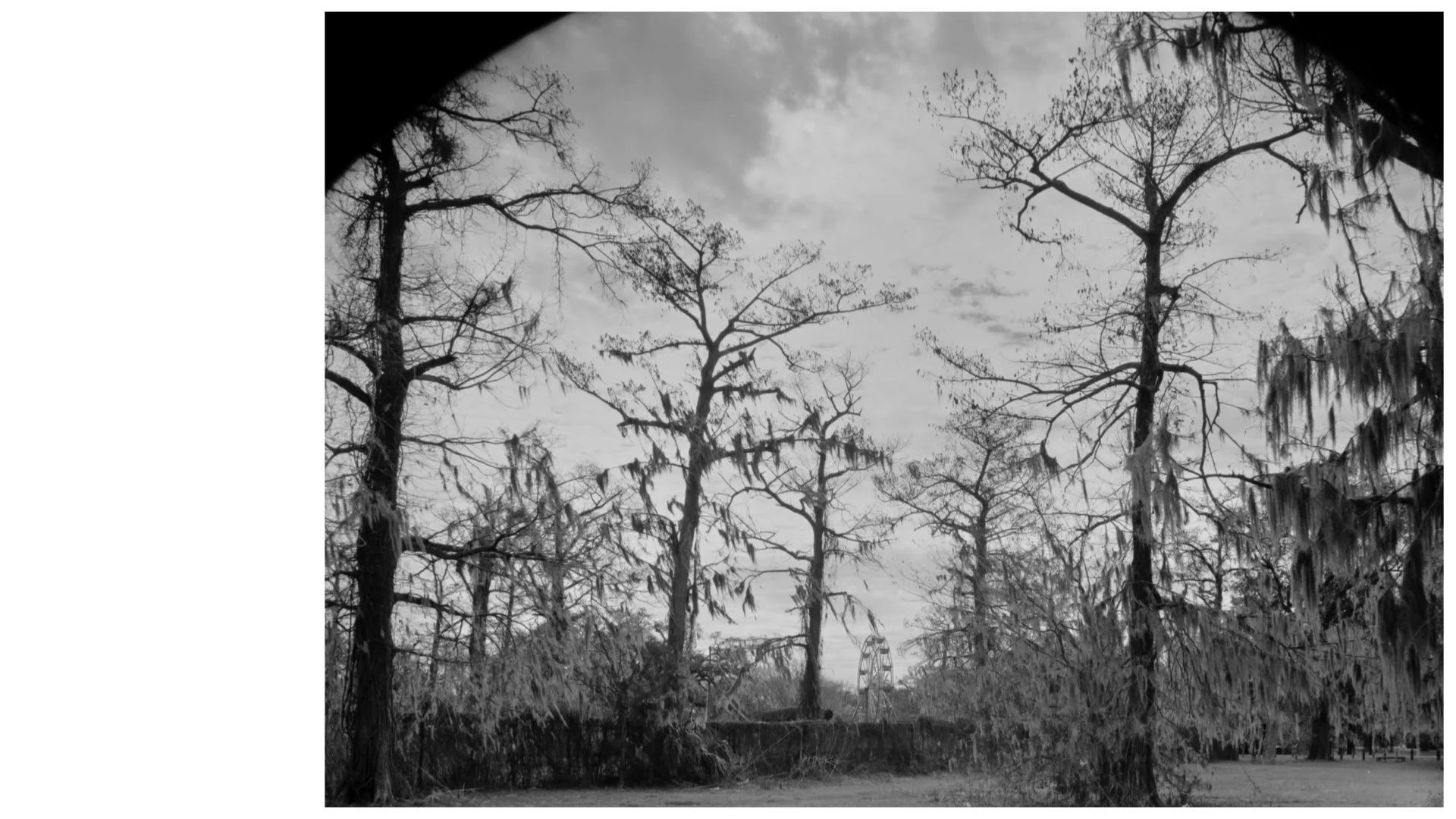 Primary 2023 -TASTE and SEE.021.jpeg