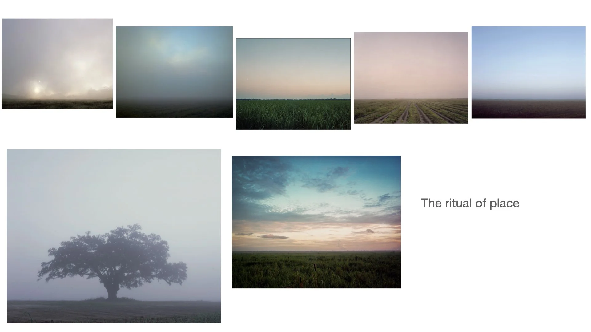 Primary 2023 -TASTE and SEE.022.jpeg