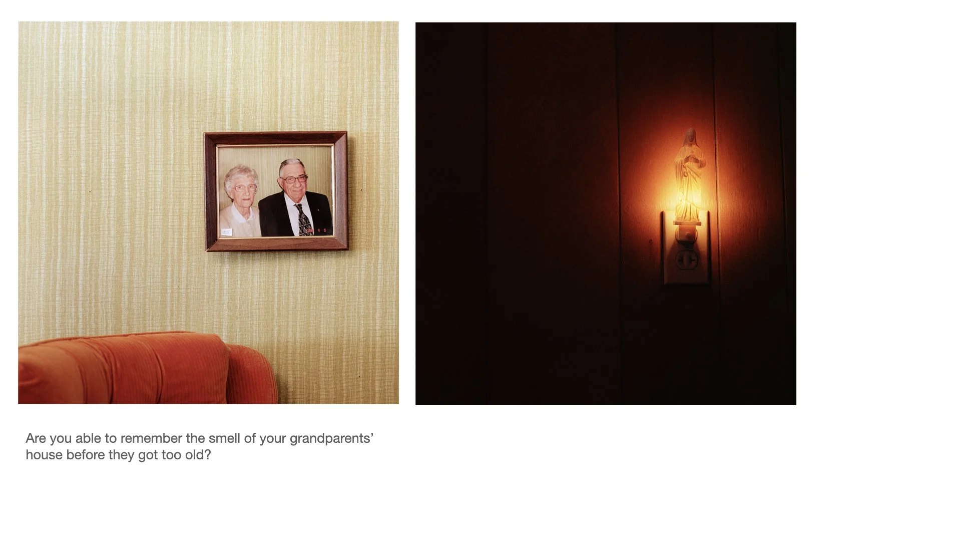 Primary 2023 -TASTE and SEE.026.jpeg