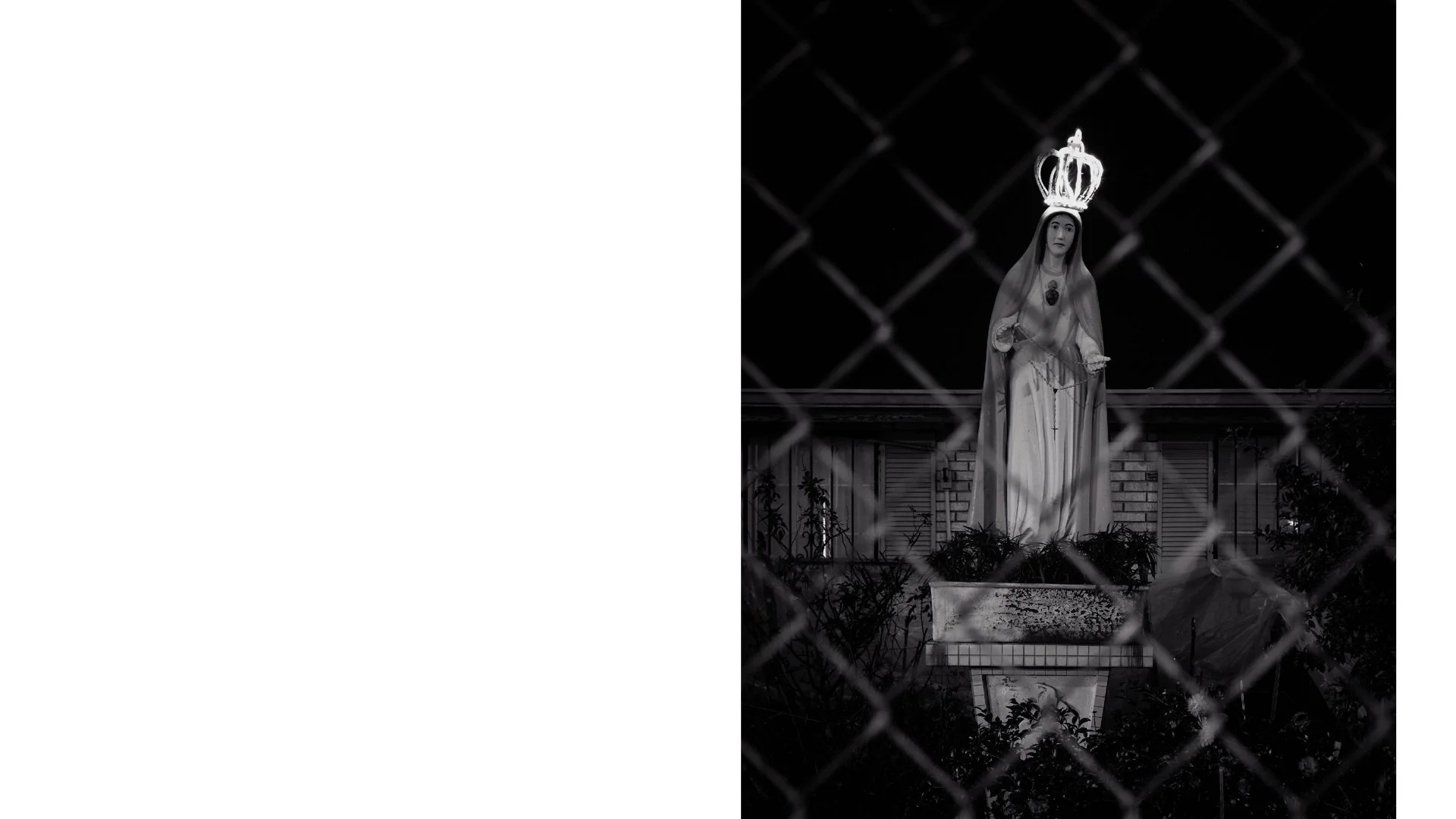 Primary 2023 -TASTE and SEE.028.jpeg