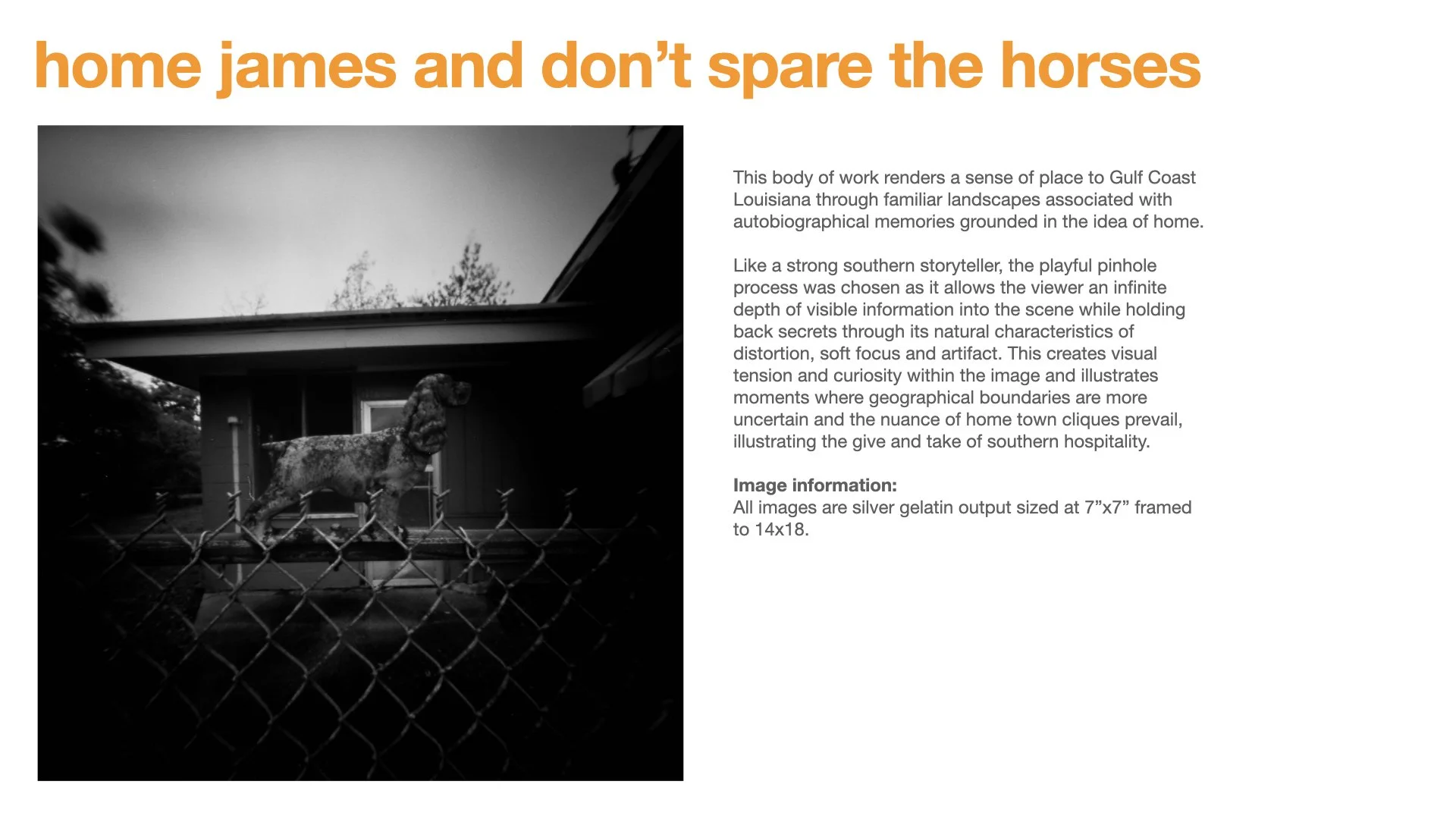 Primary 2023 -TASTE and SEE.029.jpeg