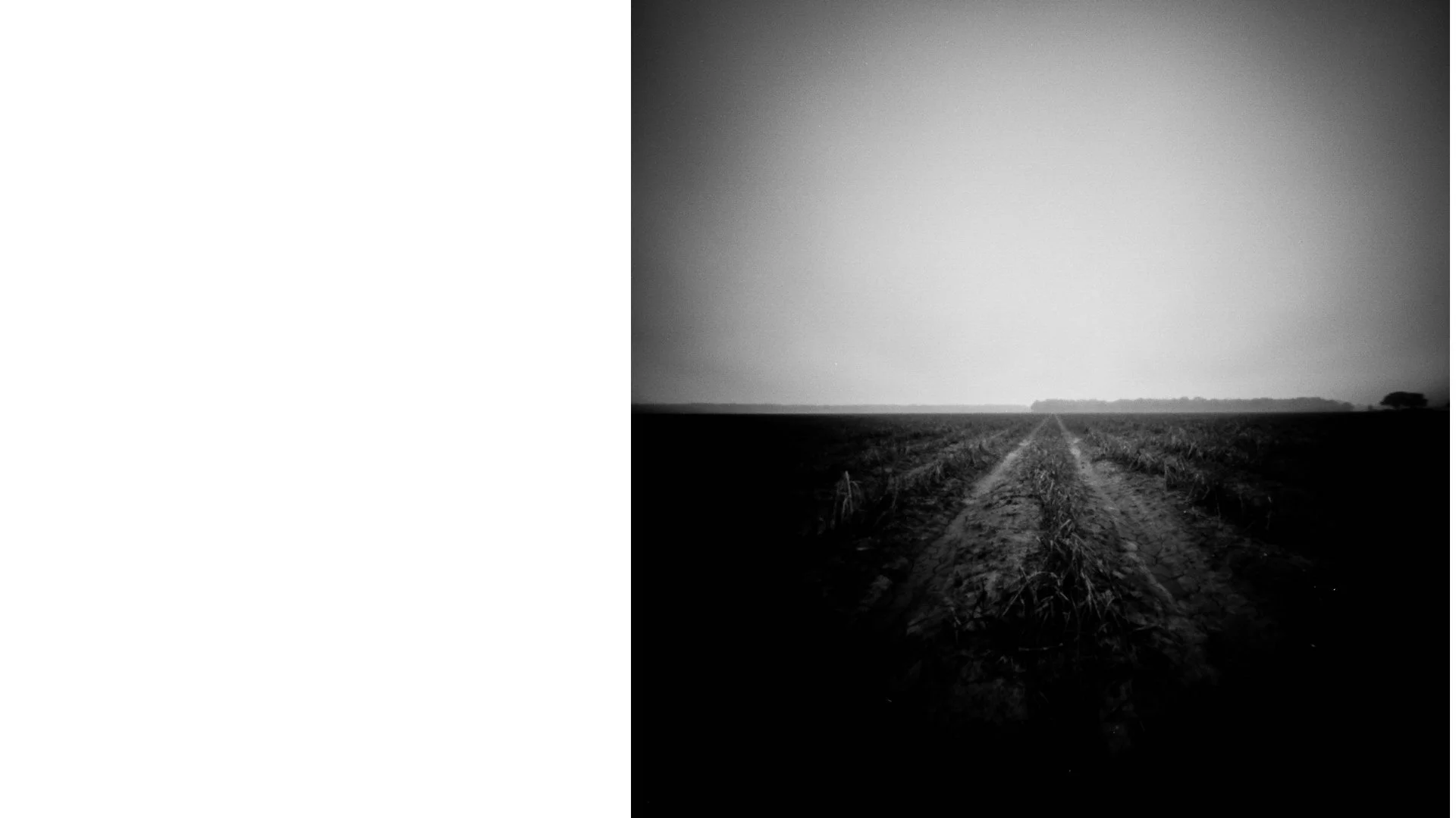 Primary 2023 -TASTE and SEE.030.jpeg