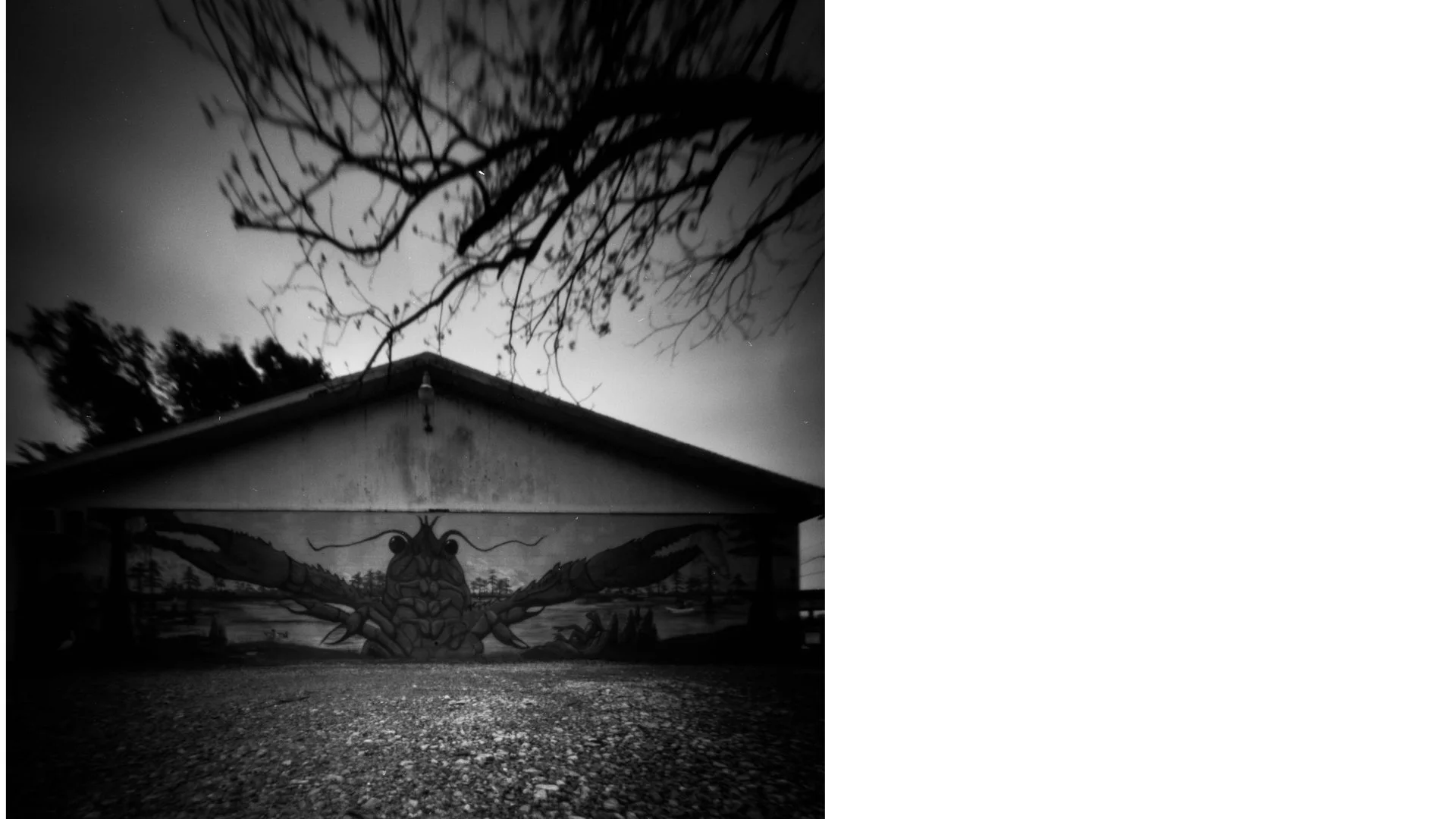 Primary 2023 -TASTE and SEE.032.jpeg