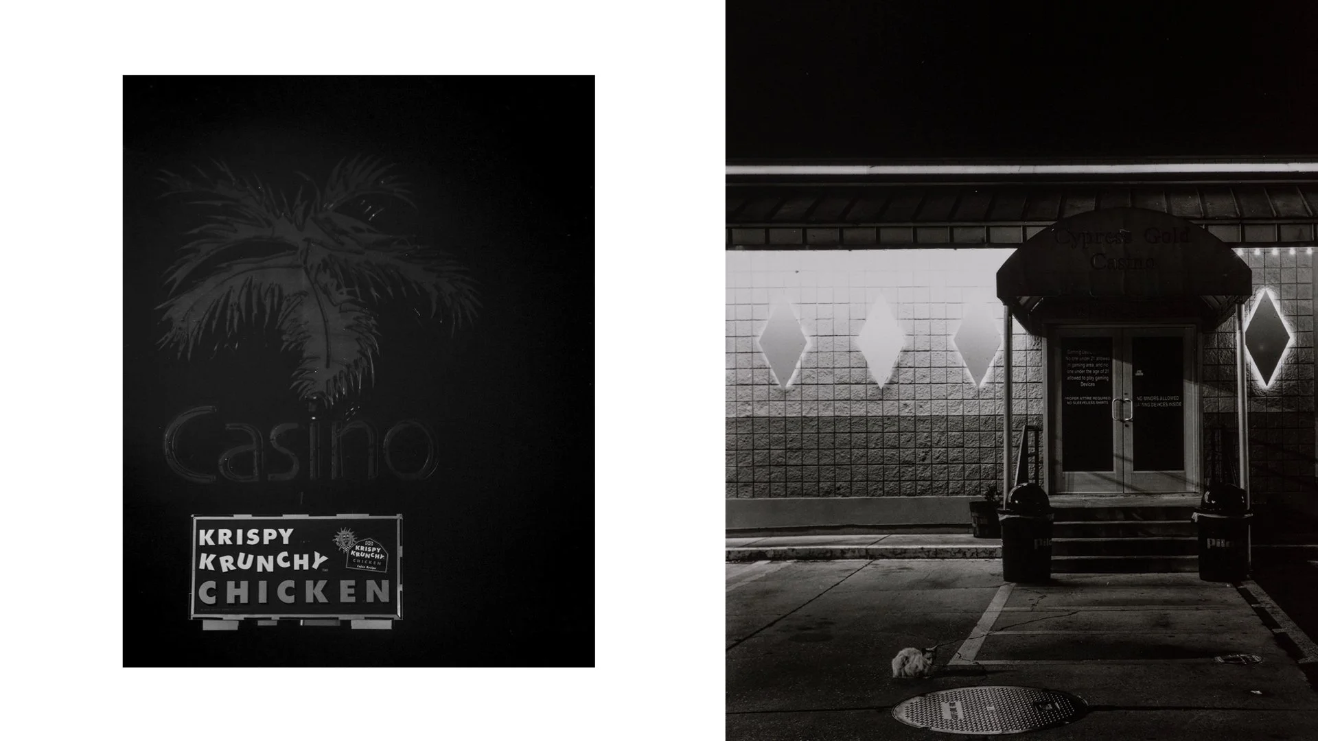 Primary 2023 -TASTE and SEE.039.jpeg