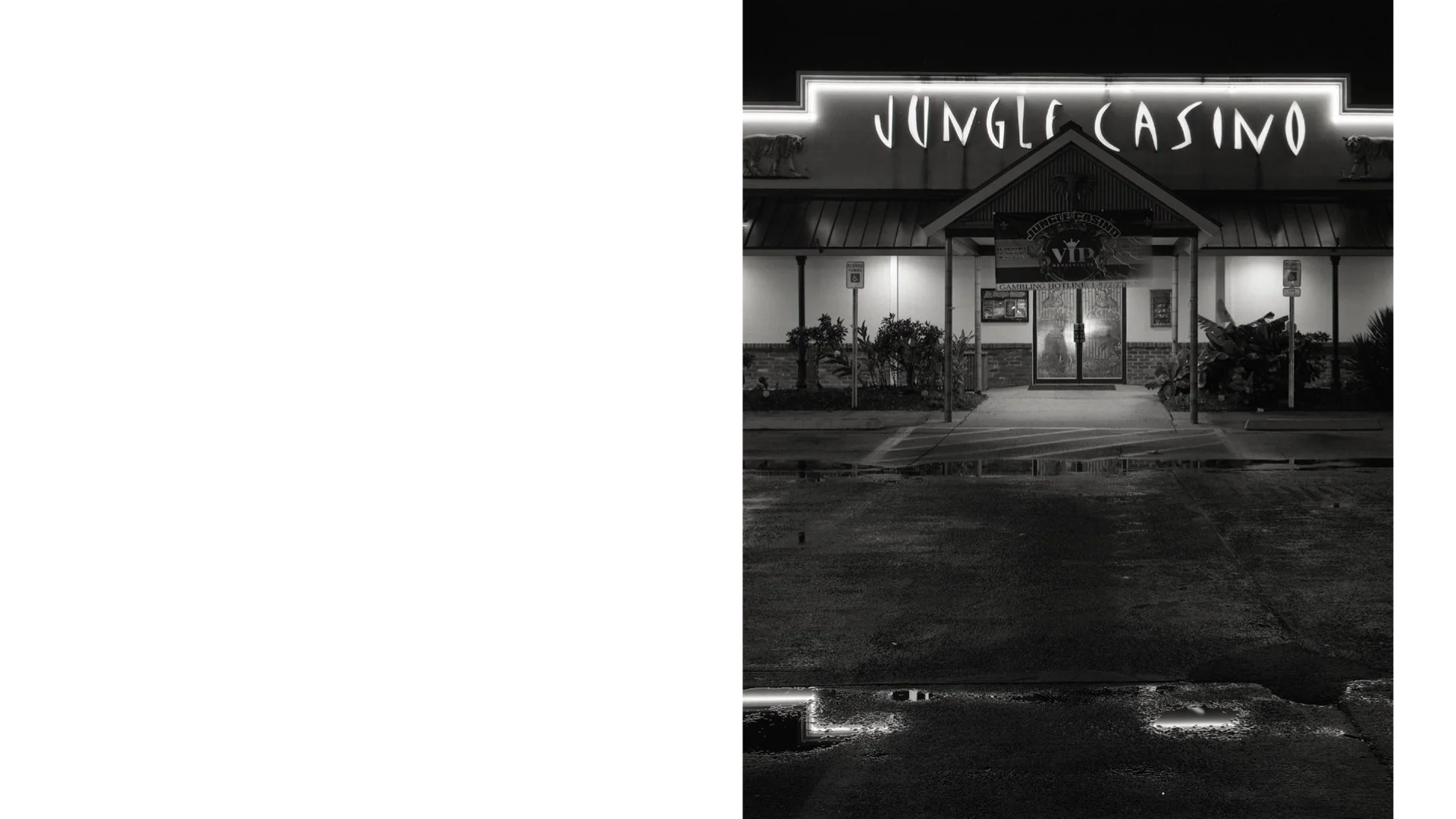 Primary 2023 -TASTE and SEE.042.jpeg