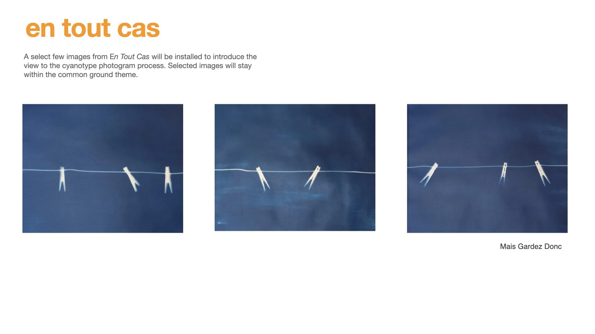 Primary 2023 -TASTE and SEE.047.jpeg