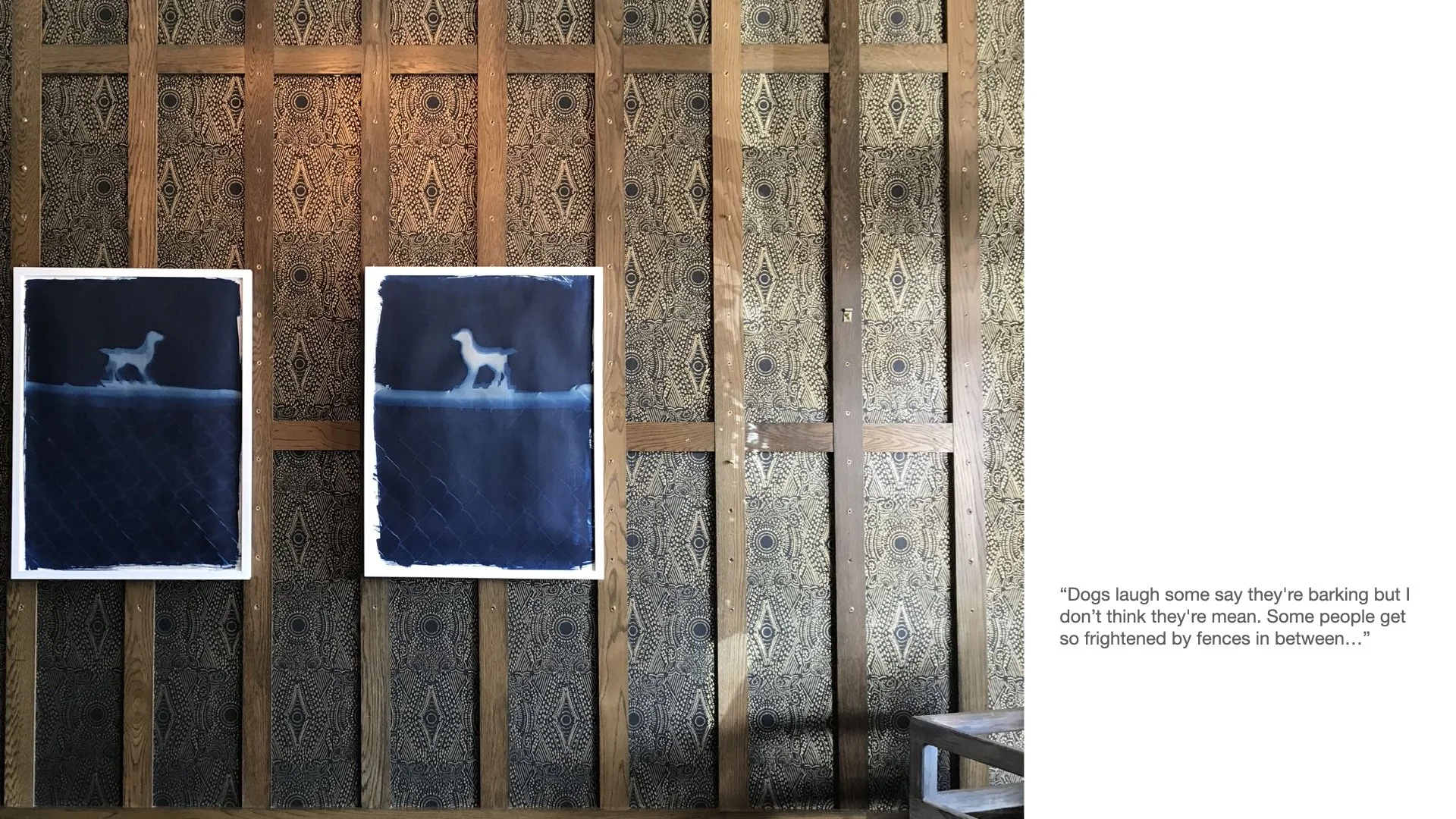 Primary 2023 -TASTE and SEE.052.jpeg