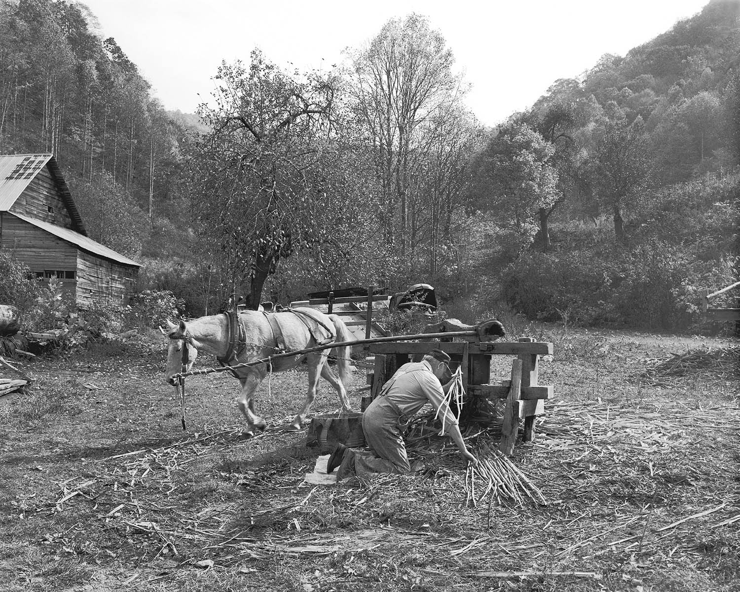 Molasses making horse powered mill Appalachian photographer Tim Barnwell