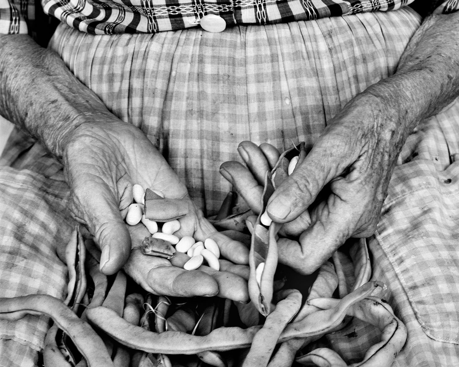 Shelling beans hands Appalachian portrait Tim Barnwell photographer