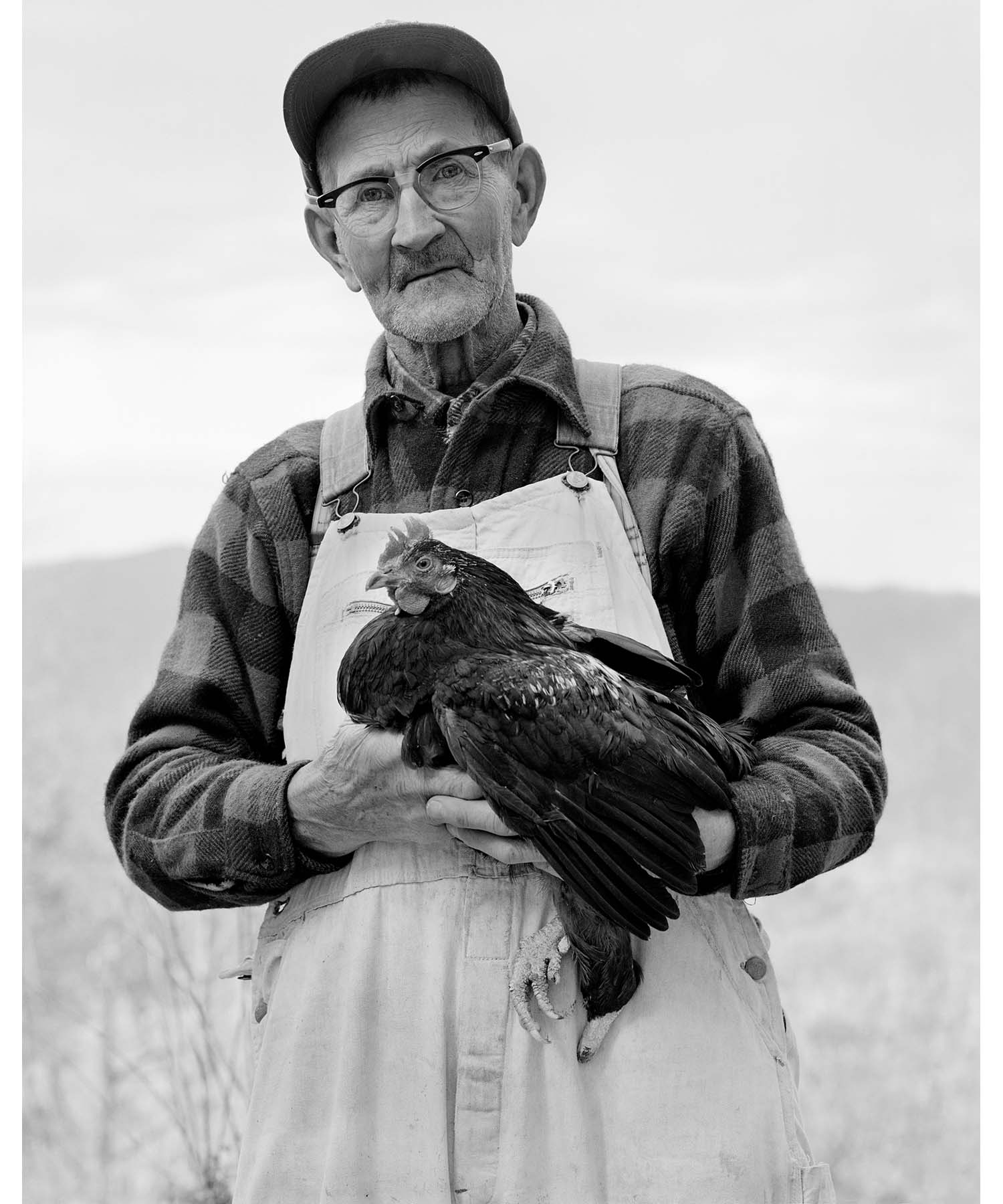 The Face of Appalachia Amos Henderson pet chicken gamecock fighting