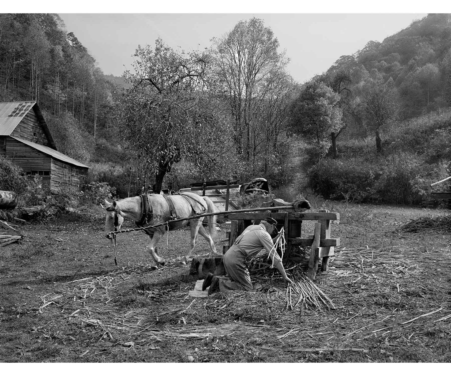 Appalachia Appalachian molasses making horse powered mill Tim Barnwell photographer