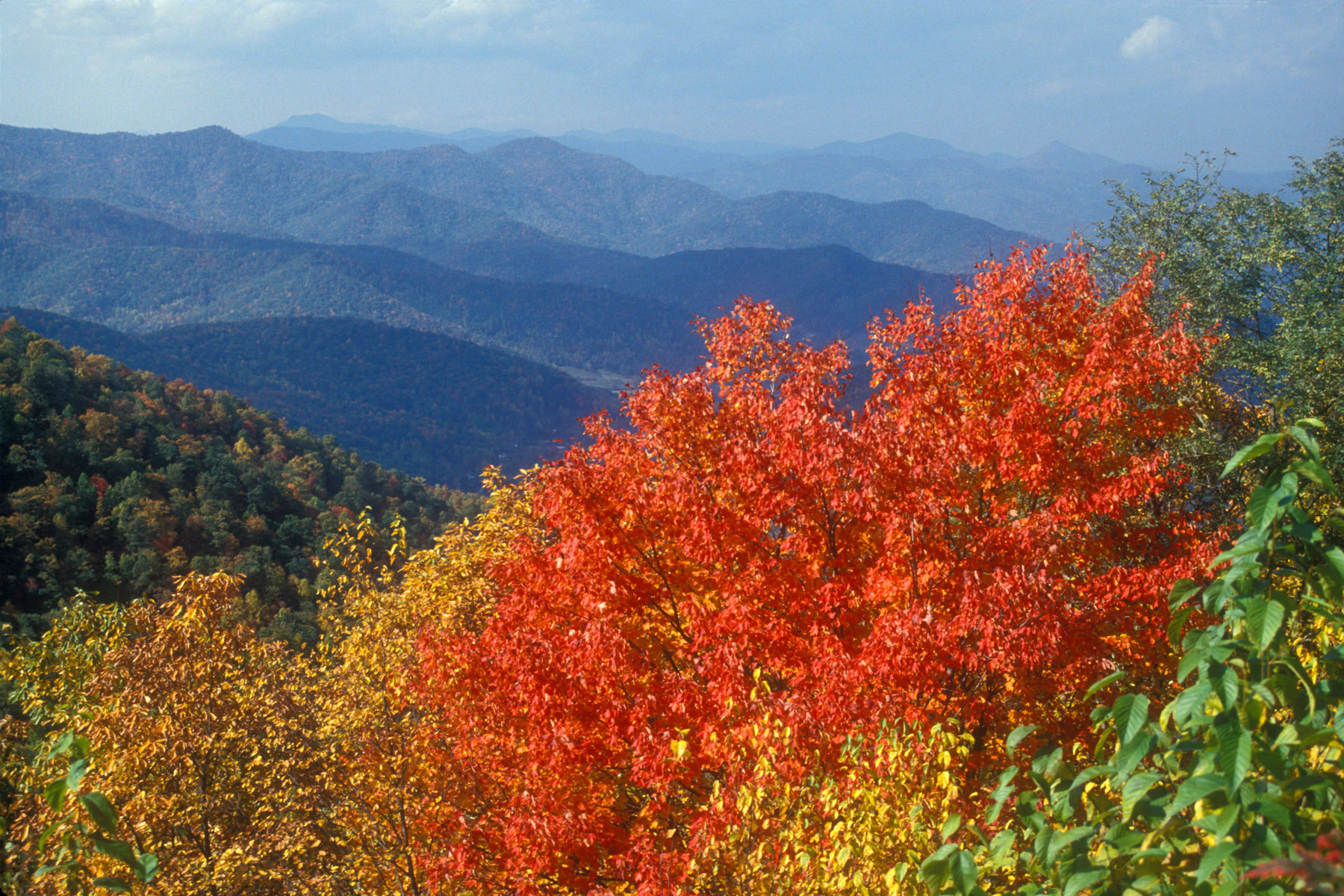 editorial stock magazine photography Asheville NC Barnwell Tim