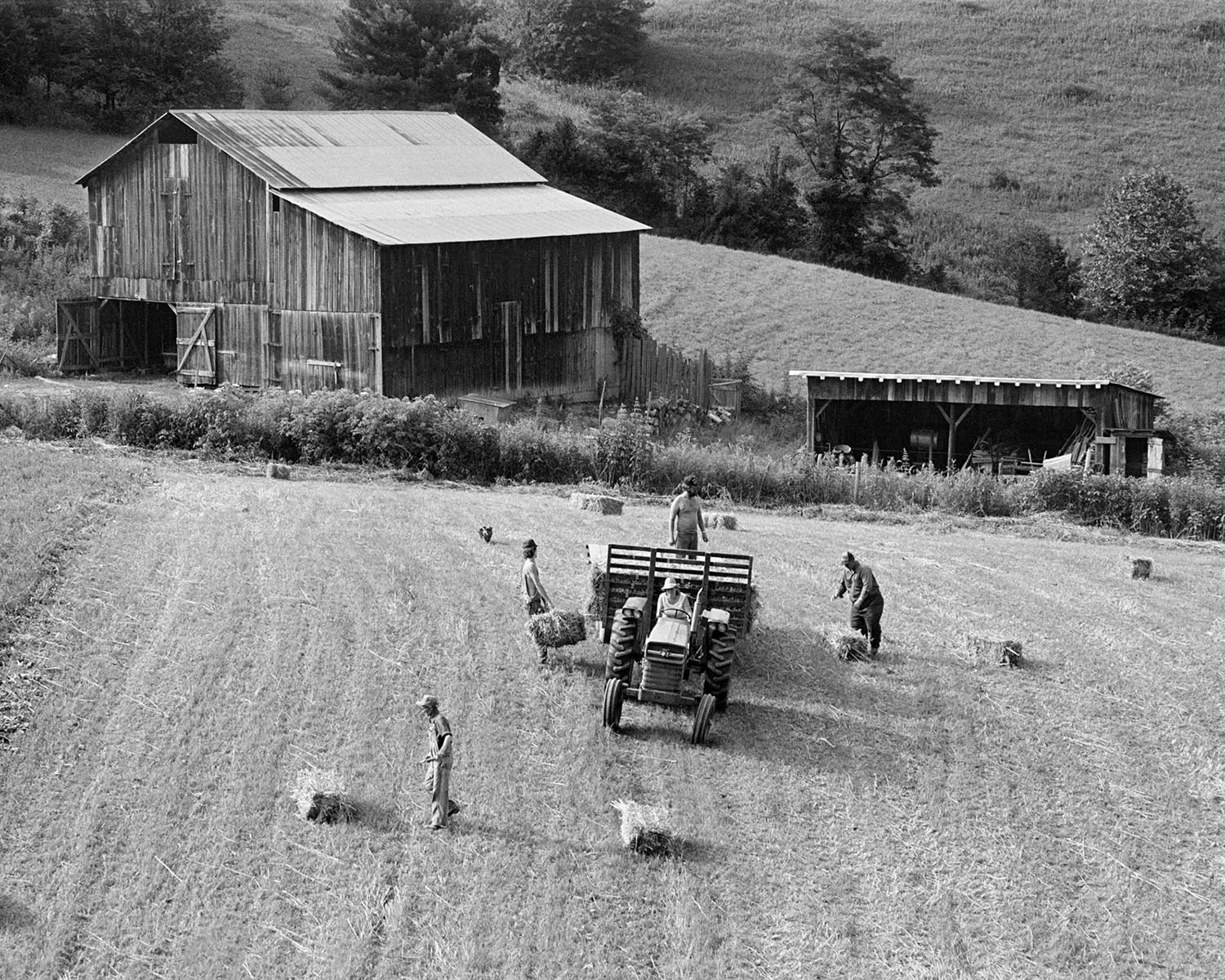  Family putting up hay, 1986 (book cover image)
