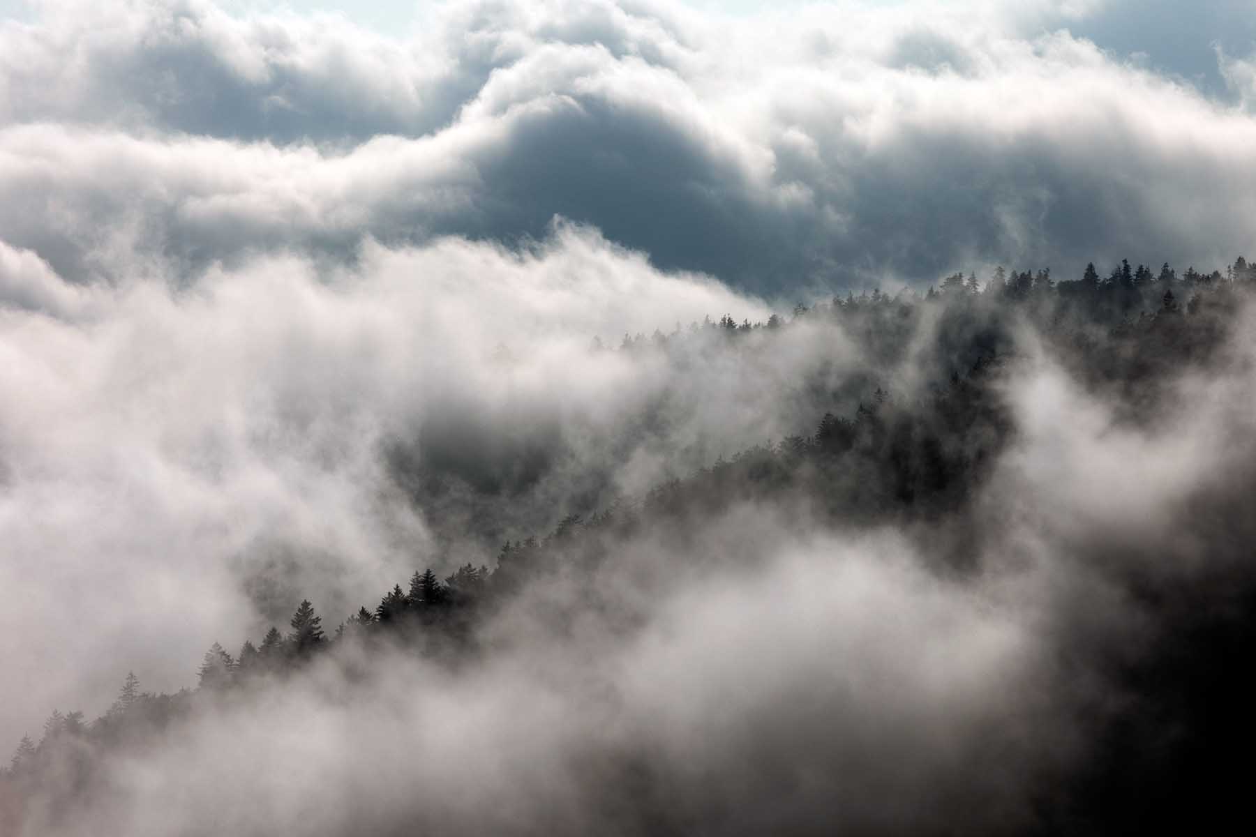 Clingmans Dome Great Smoky Mountains National Park North Carolina Tim Barnwell photographer