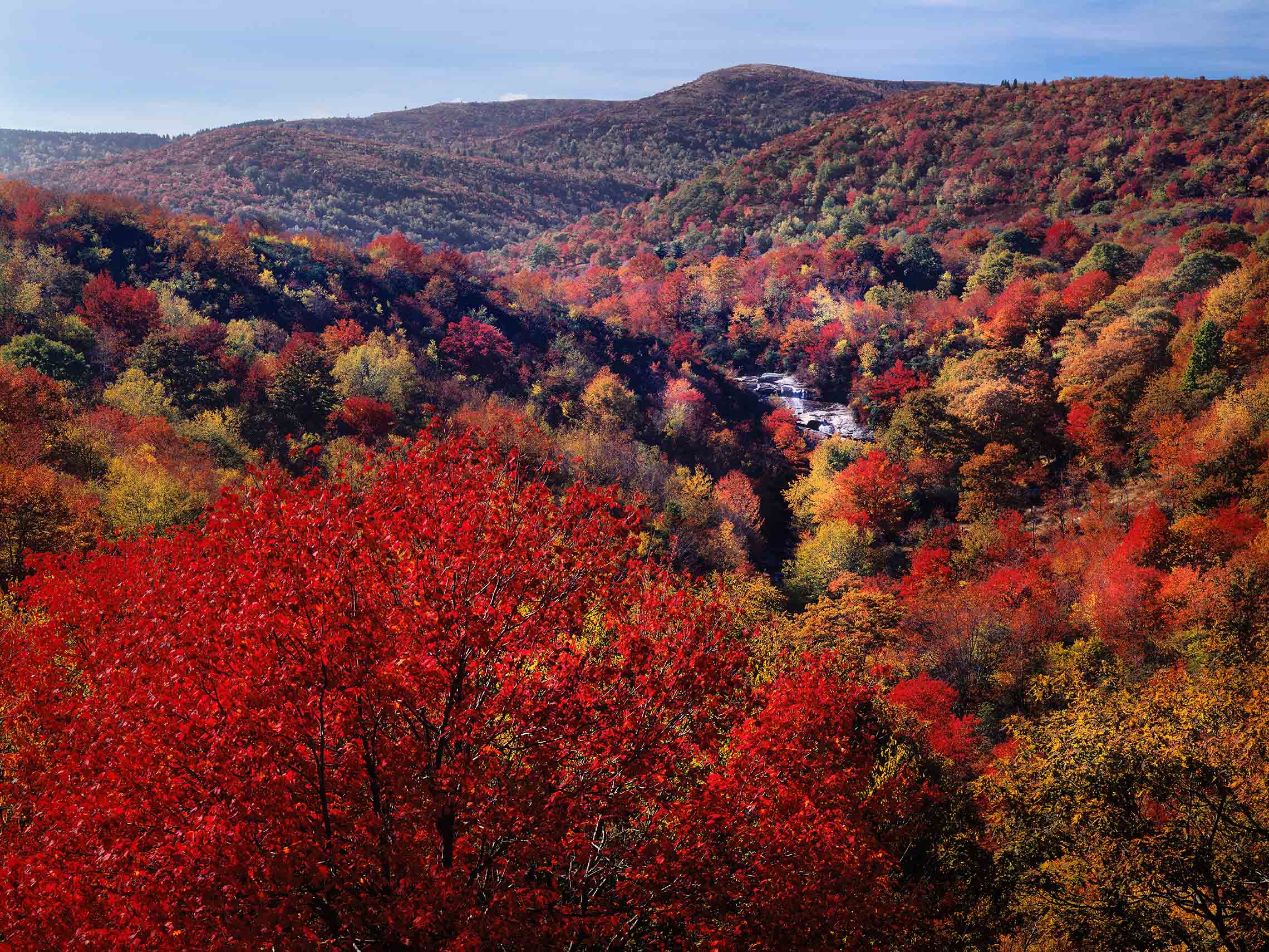 Fall color Graveyard Fields-Print Master Updated slideshow.jpg