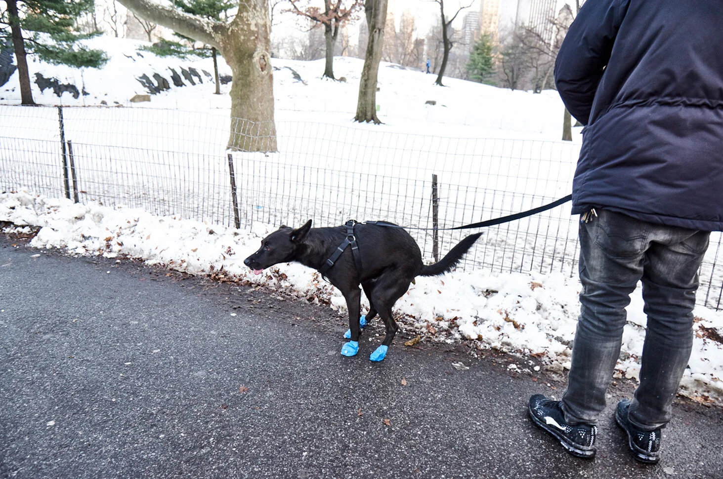 New York 5.jpg