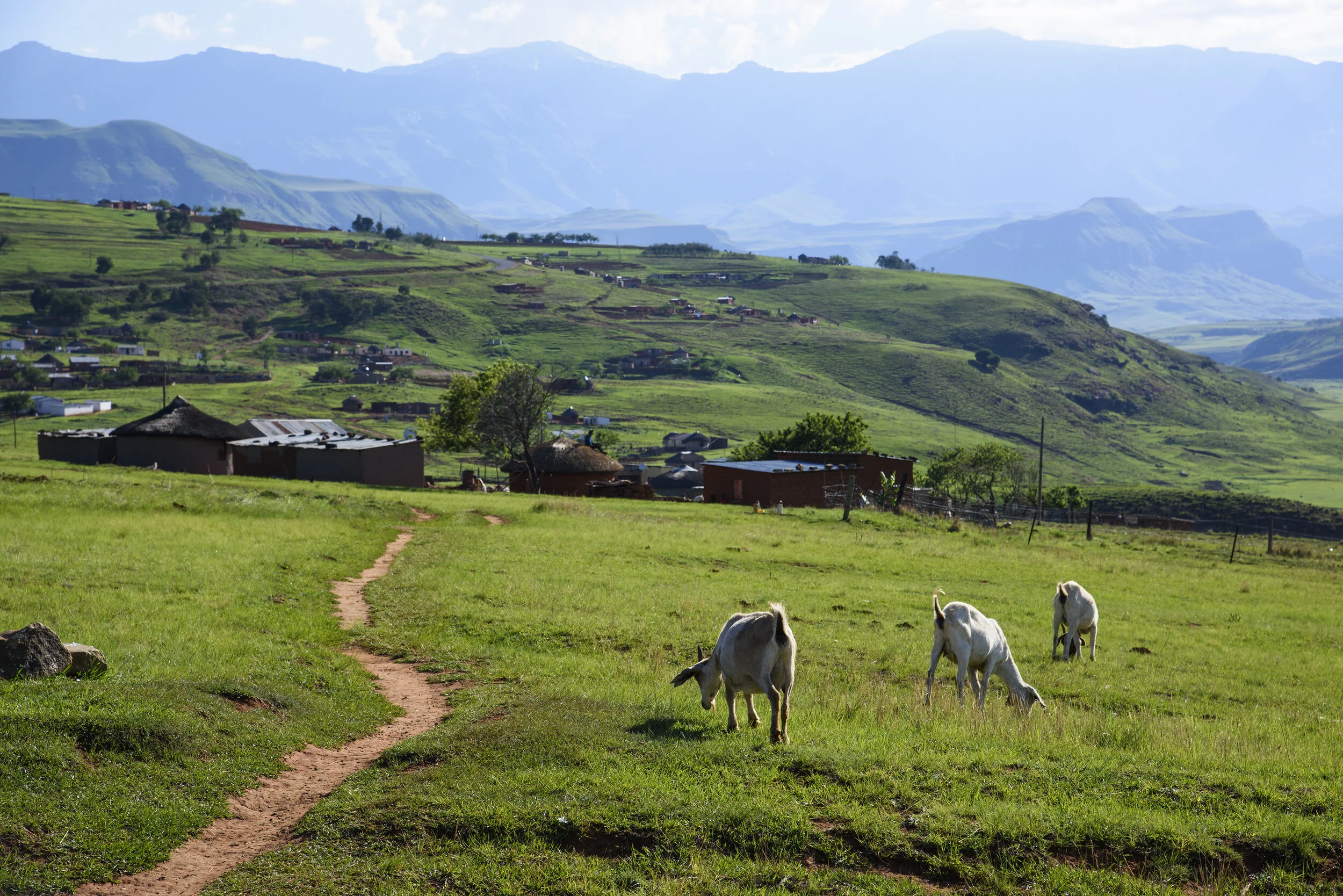 Drakensberg 02.jpg