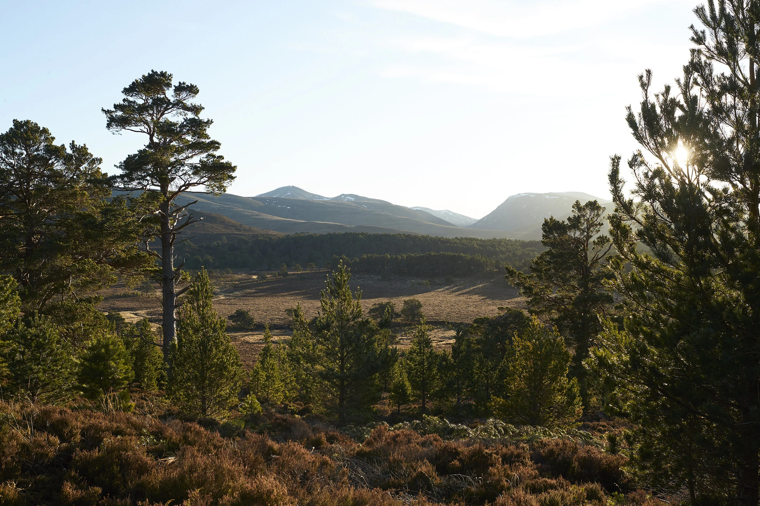 scotland 05.jpg