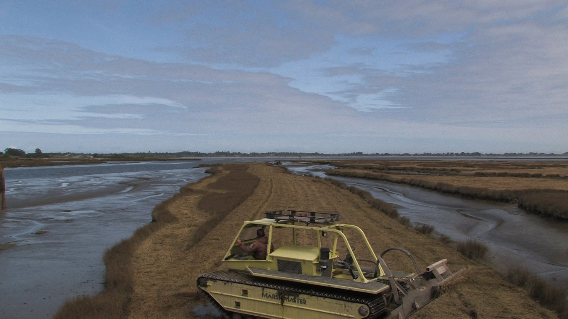 Still from Three Transnational Wetlands (Las Arenitas), 2012, single-channel color video, running time: 3 minutes