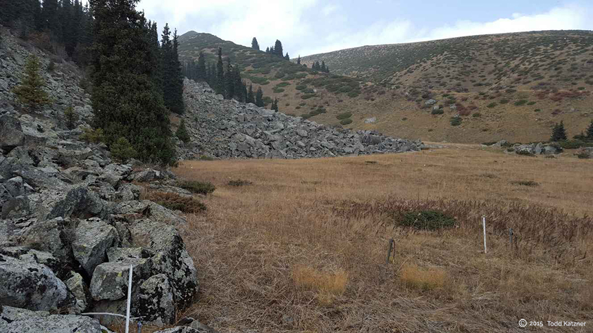 Ili Alatauski National Park in the Tien Shan Mountains