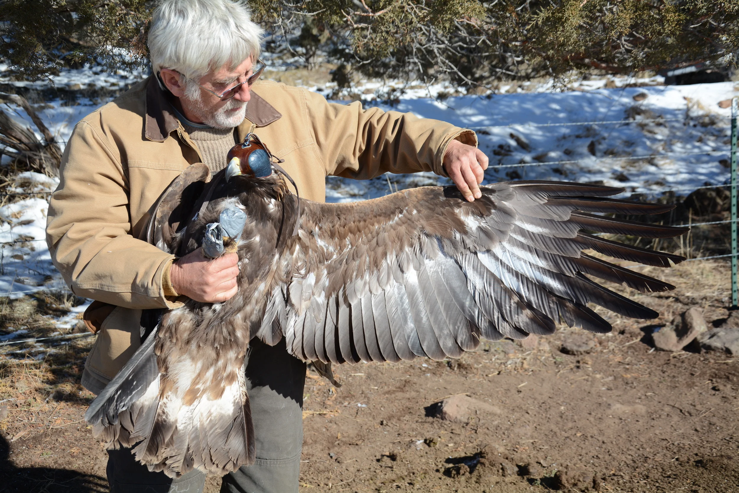 pictures from the field 