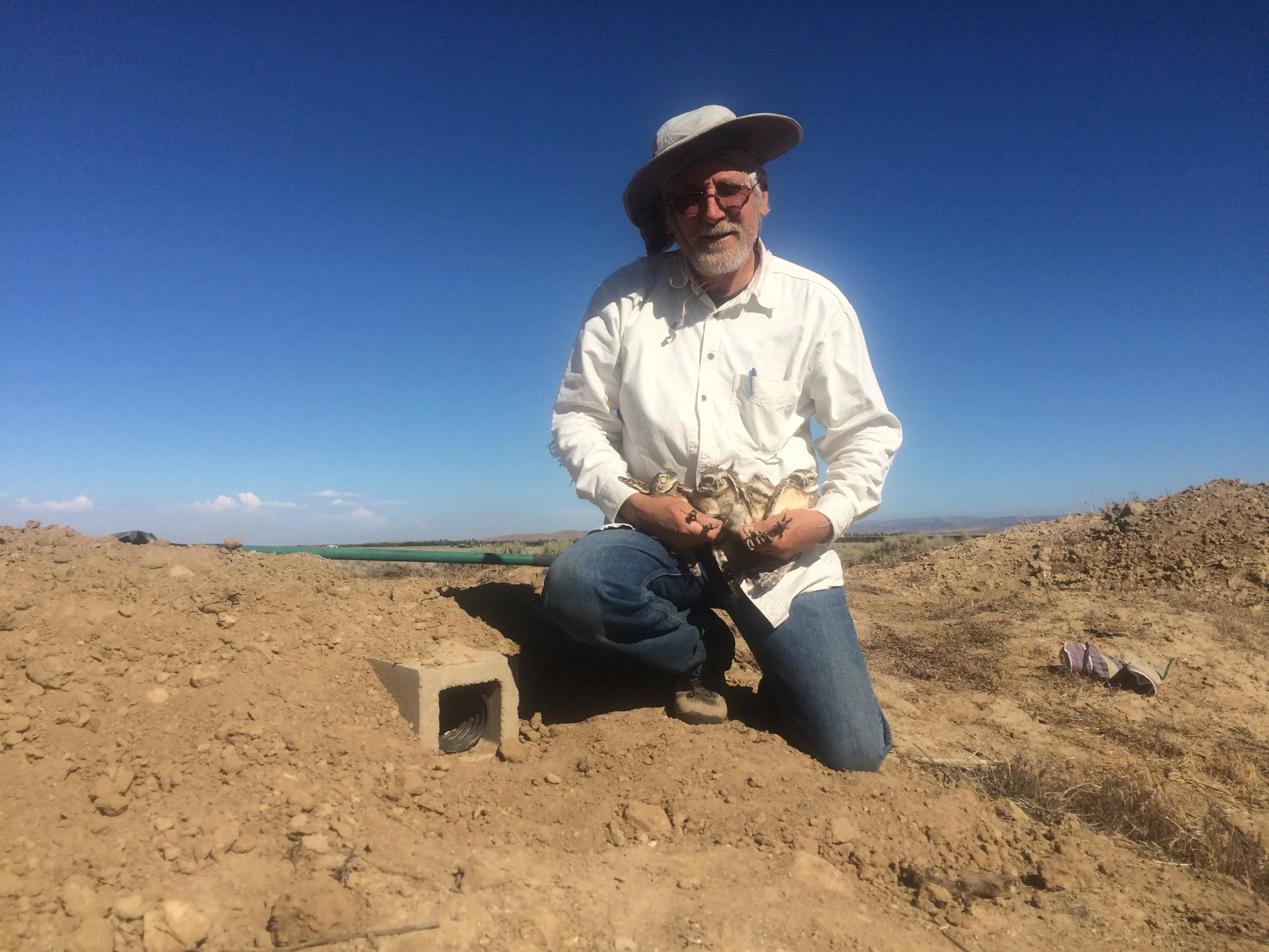 An update on Banning Ranch