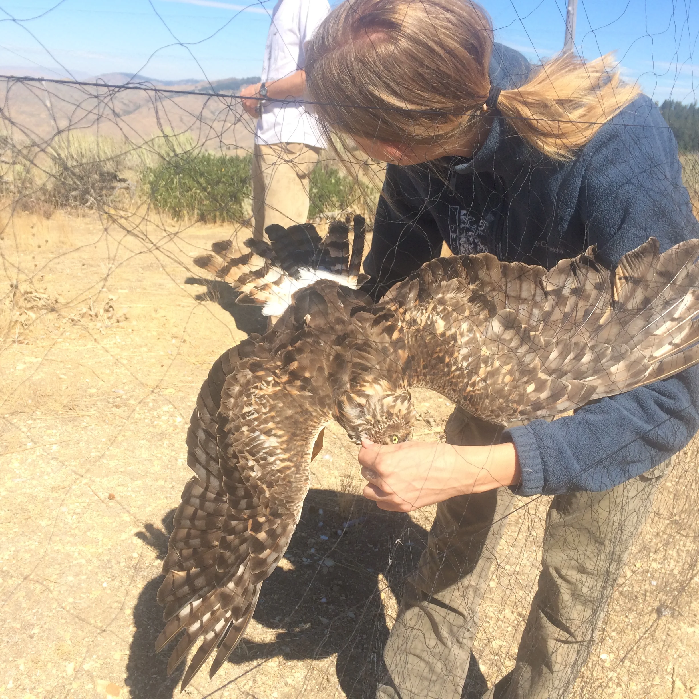 NABC banding training, September 2016