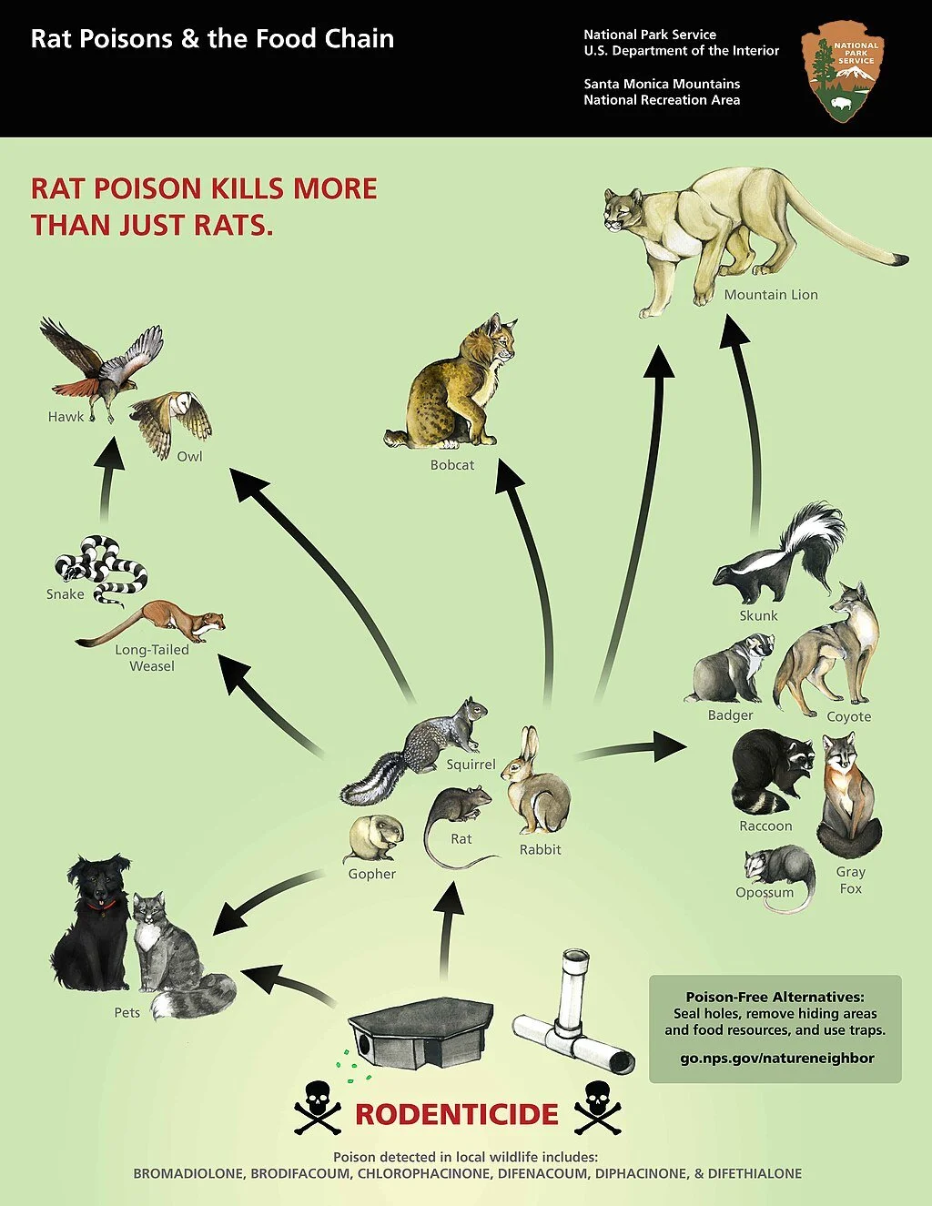 Rodenticides — Bloom Research,Inc.