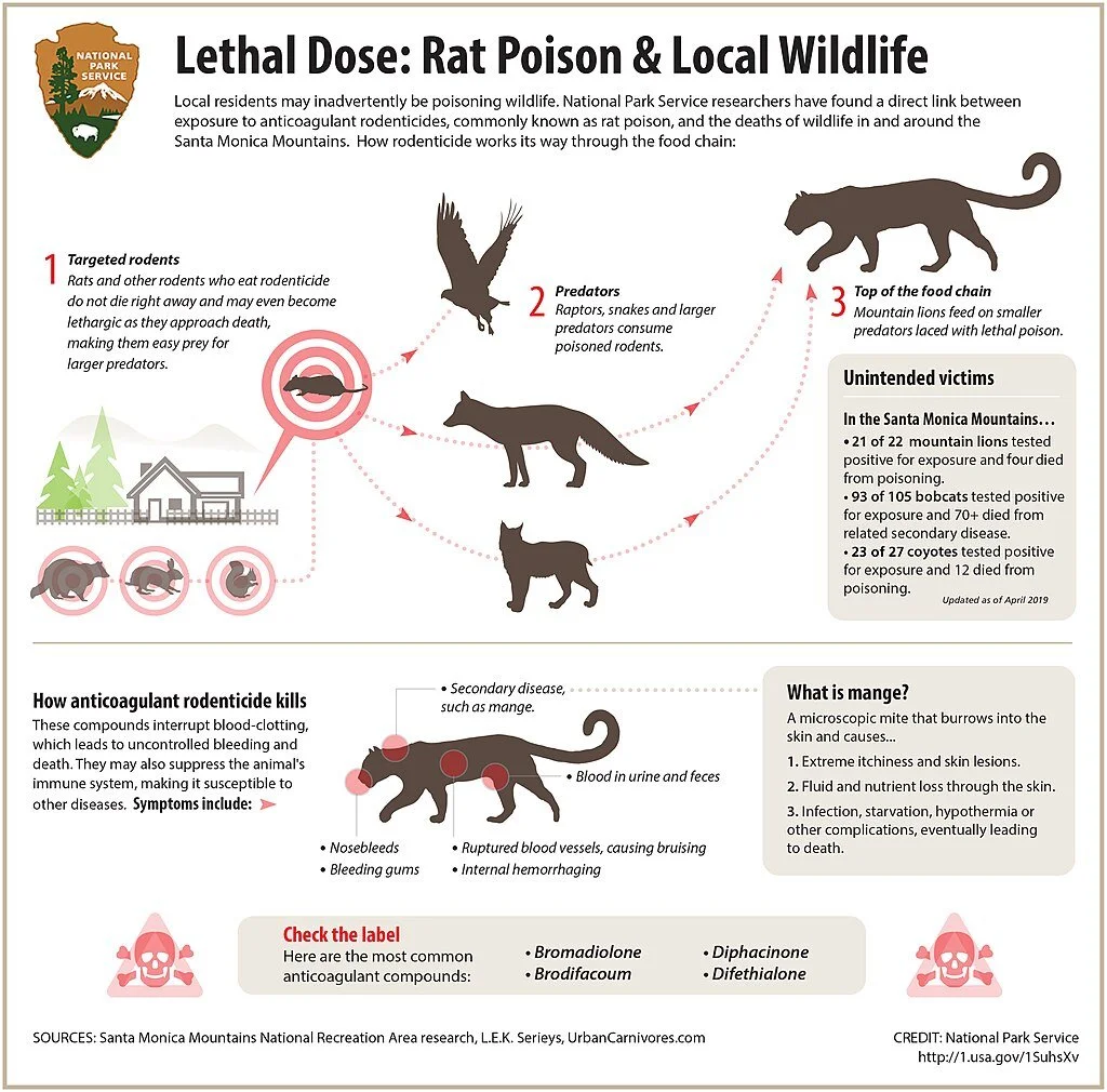 Rodenticides — Bloom Research,Inc.