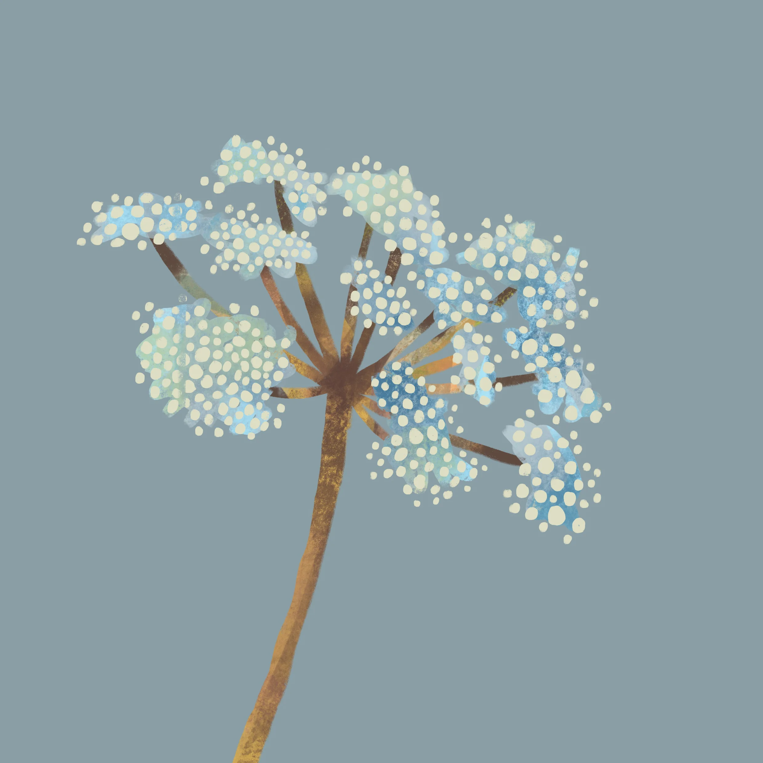 bloem.jpg