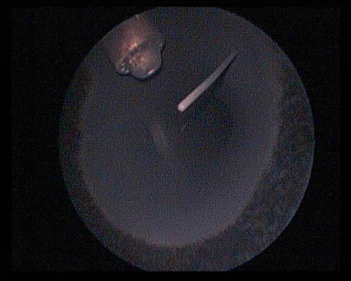 HT Borescope 4.png