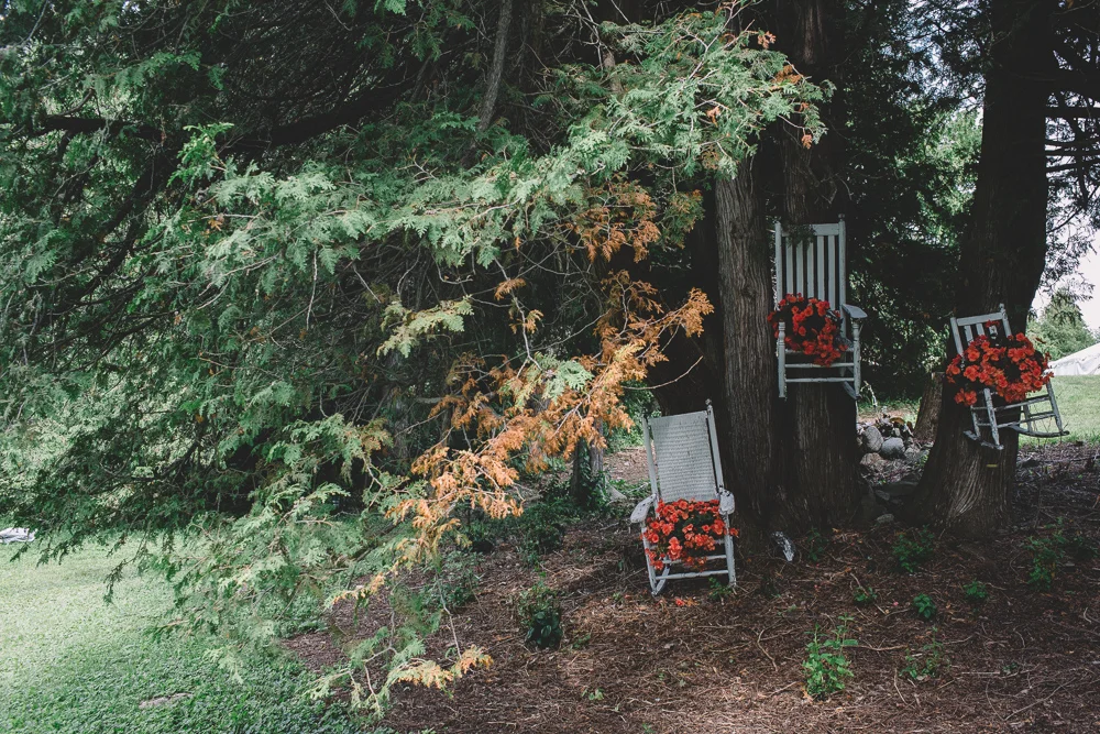 mollyryan-24.jpg