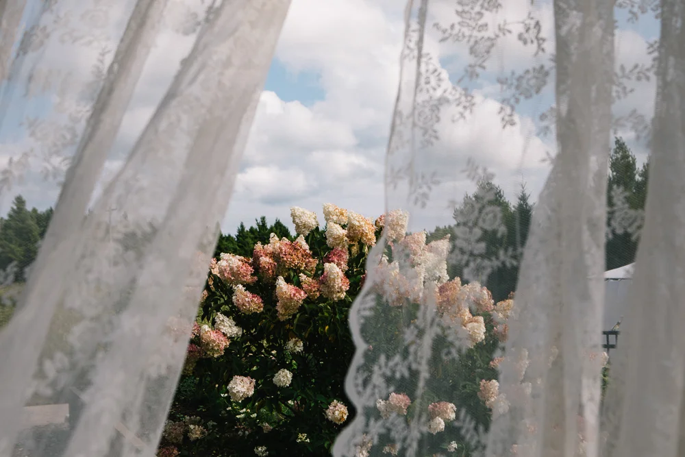 bassosweddings.com+(363+of+1215).jpg