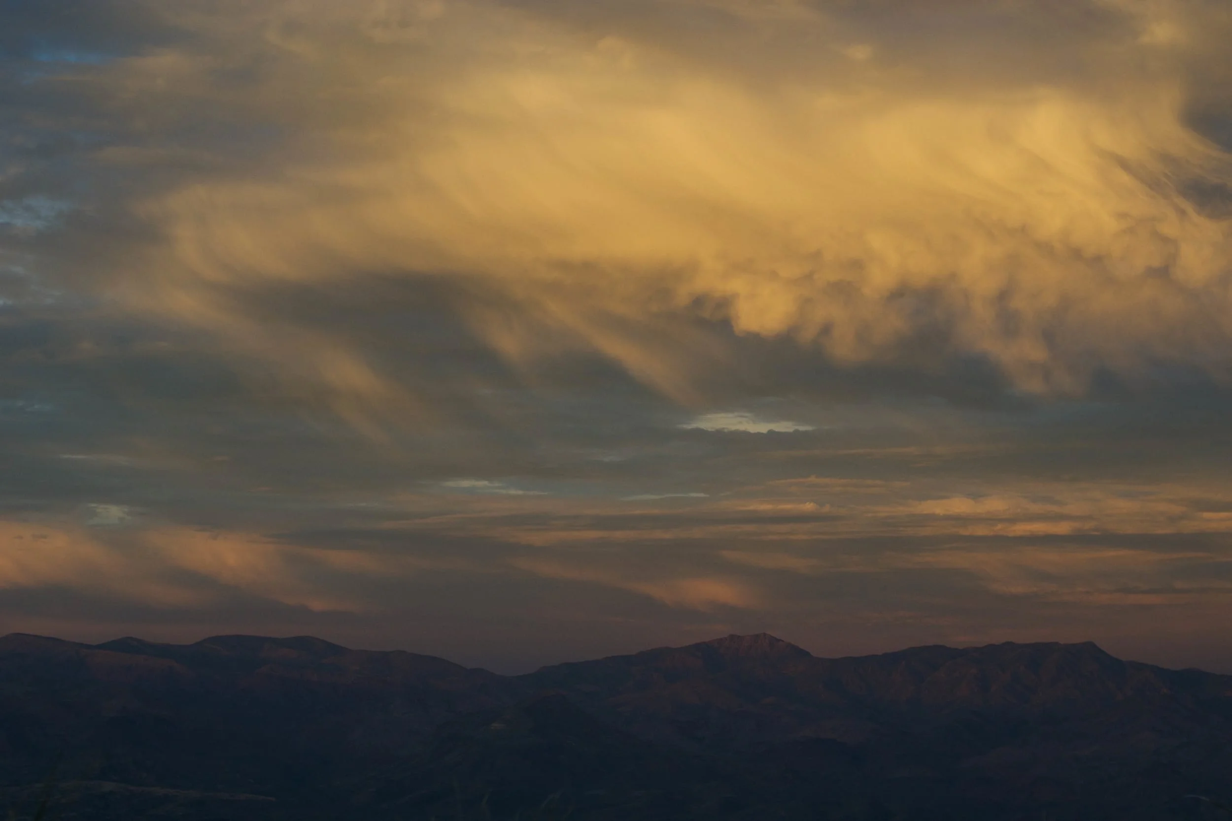DSC_0850.jpg