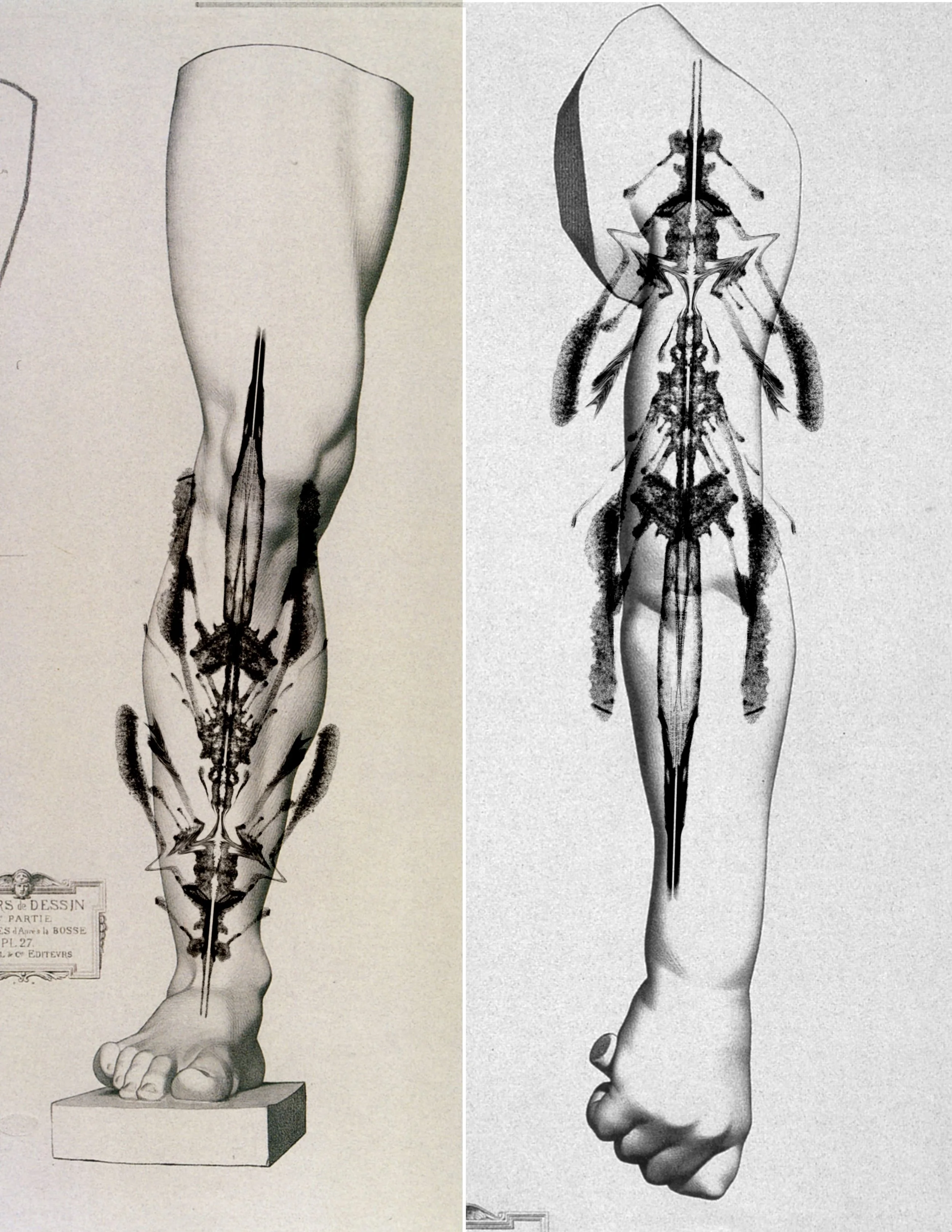 Untitled_Artwork 136.jpg