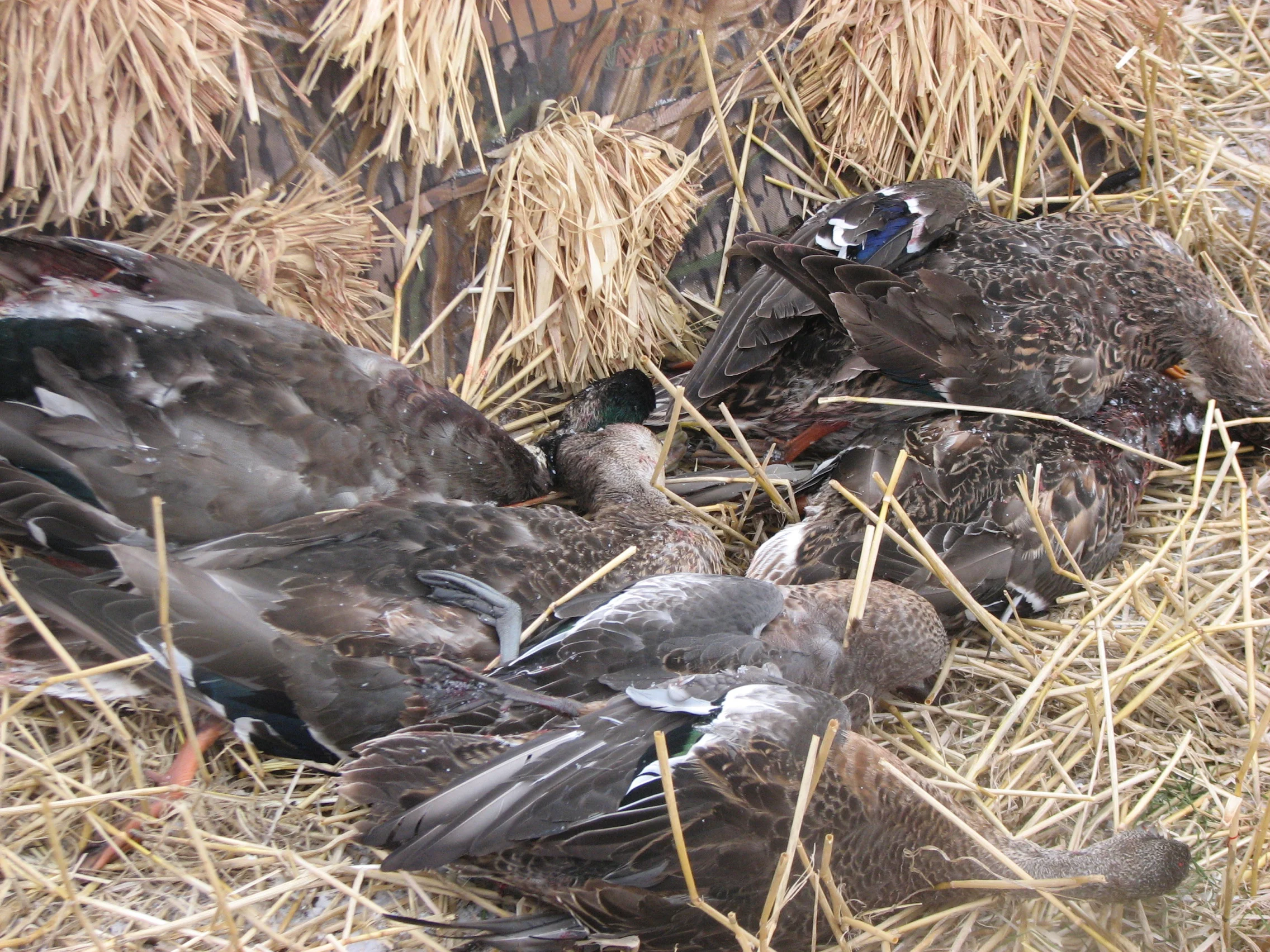 rainmaker pictures 064.jpg