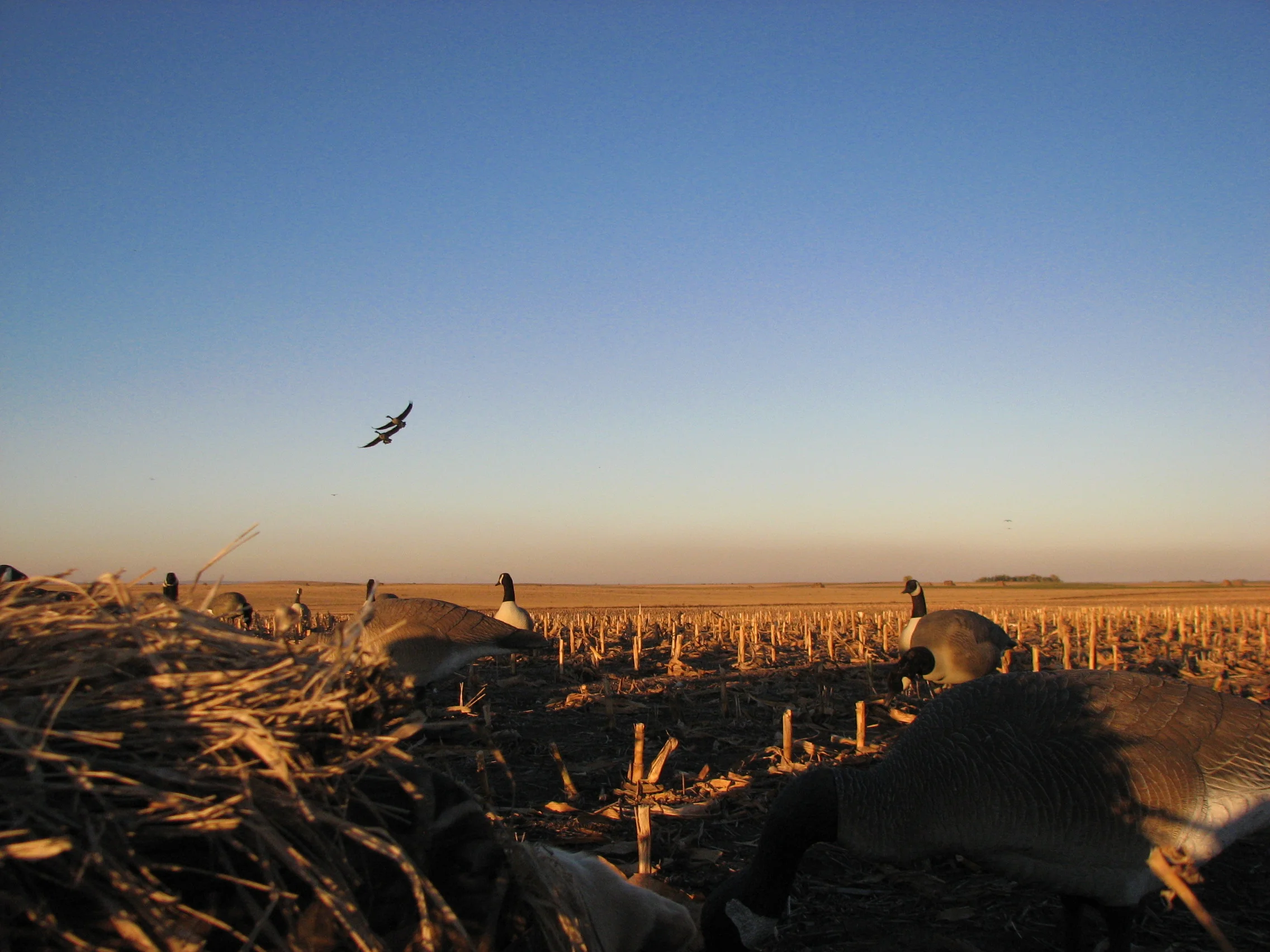 rainmaker pictures 092.jpg