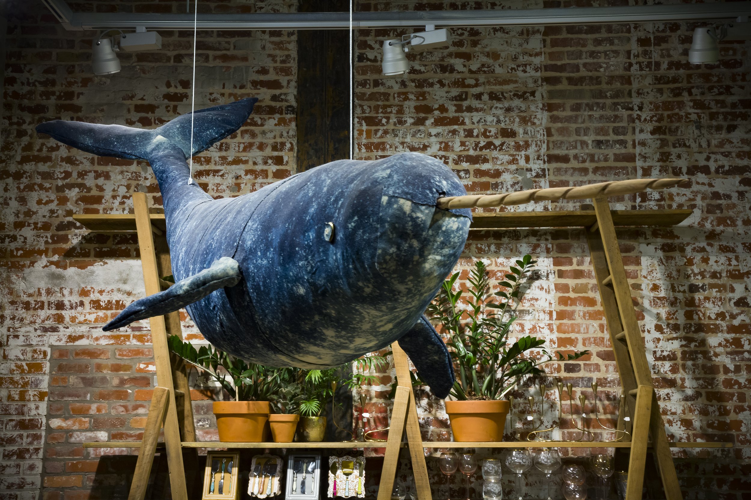 50 photoshop etid_MG_8265.jpg