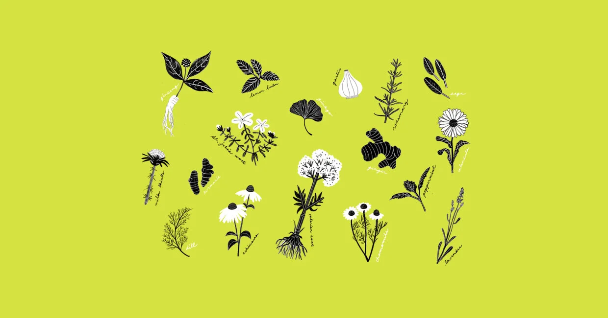 2020_Keiran-McCann_Squarespace-Image_Healing-Plants.jpg