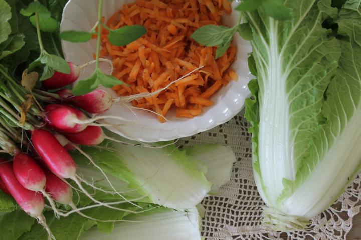 Array of vegetables for salad.