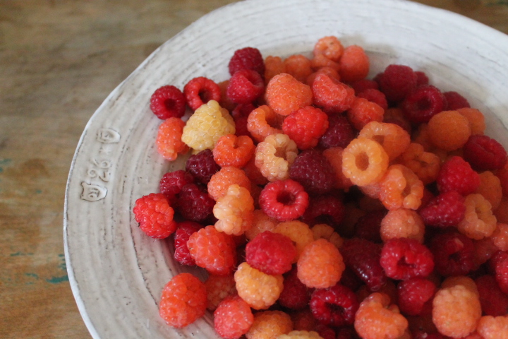 Fresh berries from our farm!