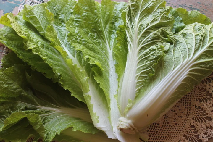 Summer Salad With Miso Maple Dressing.