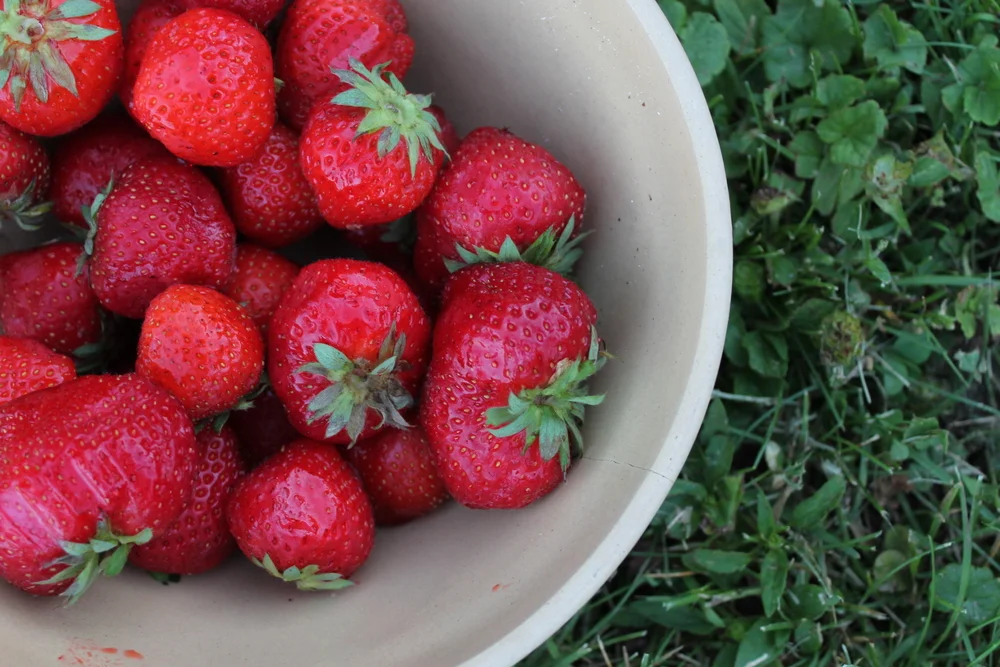 Strawberries Smoothie With Maple!