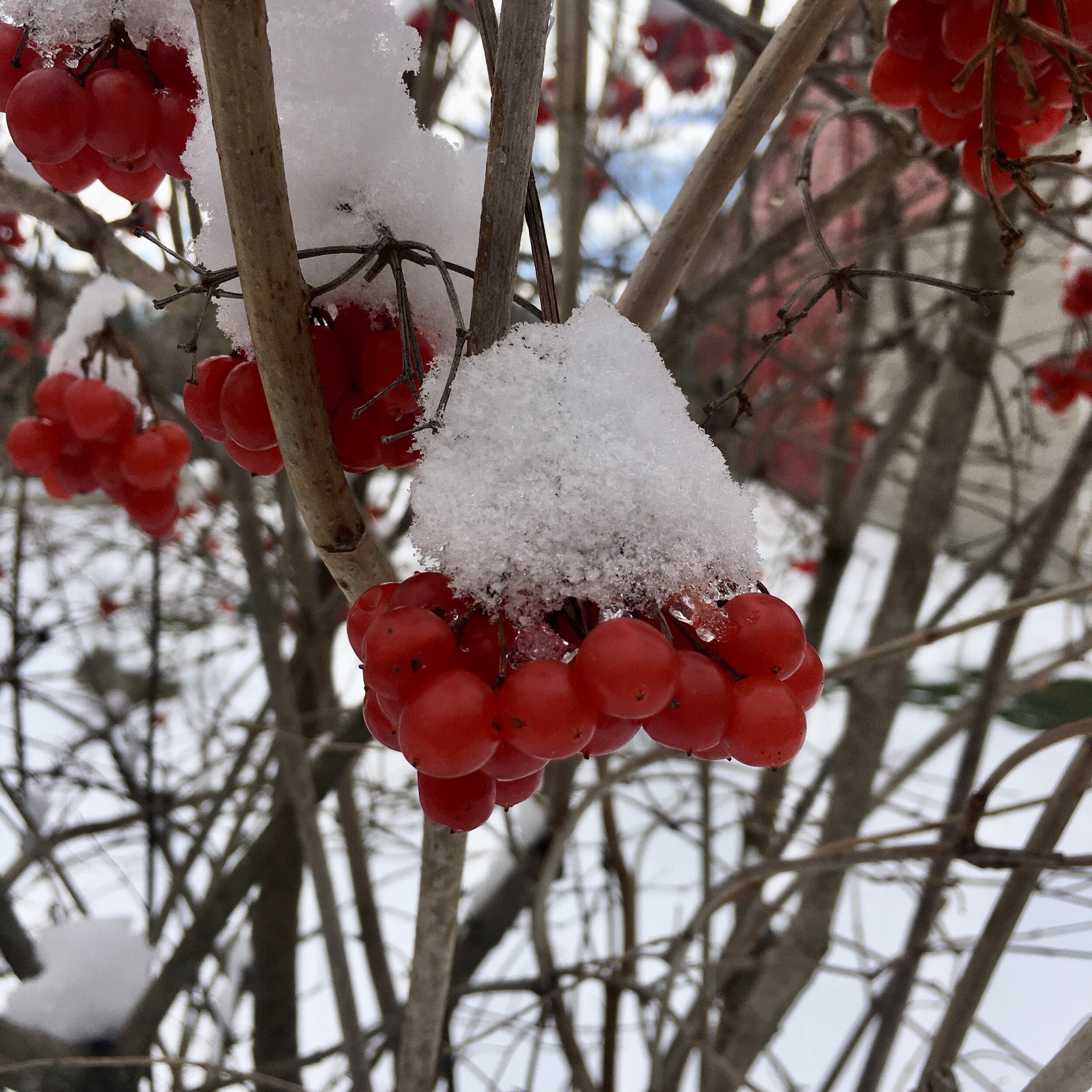 Everything's Connected