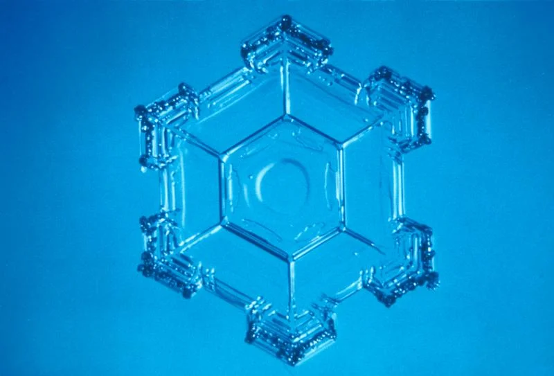 image: nsf.gov