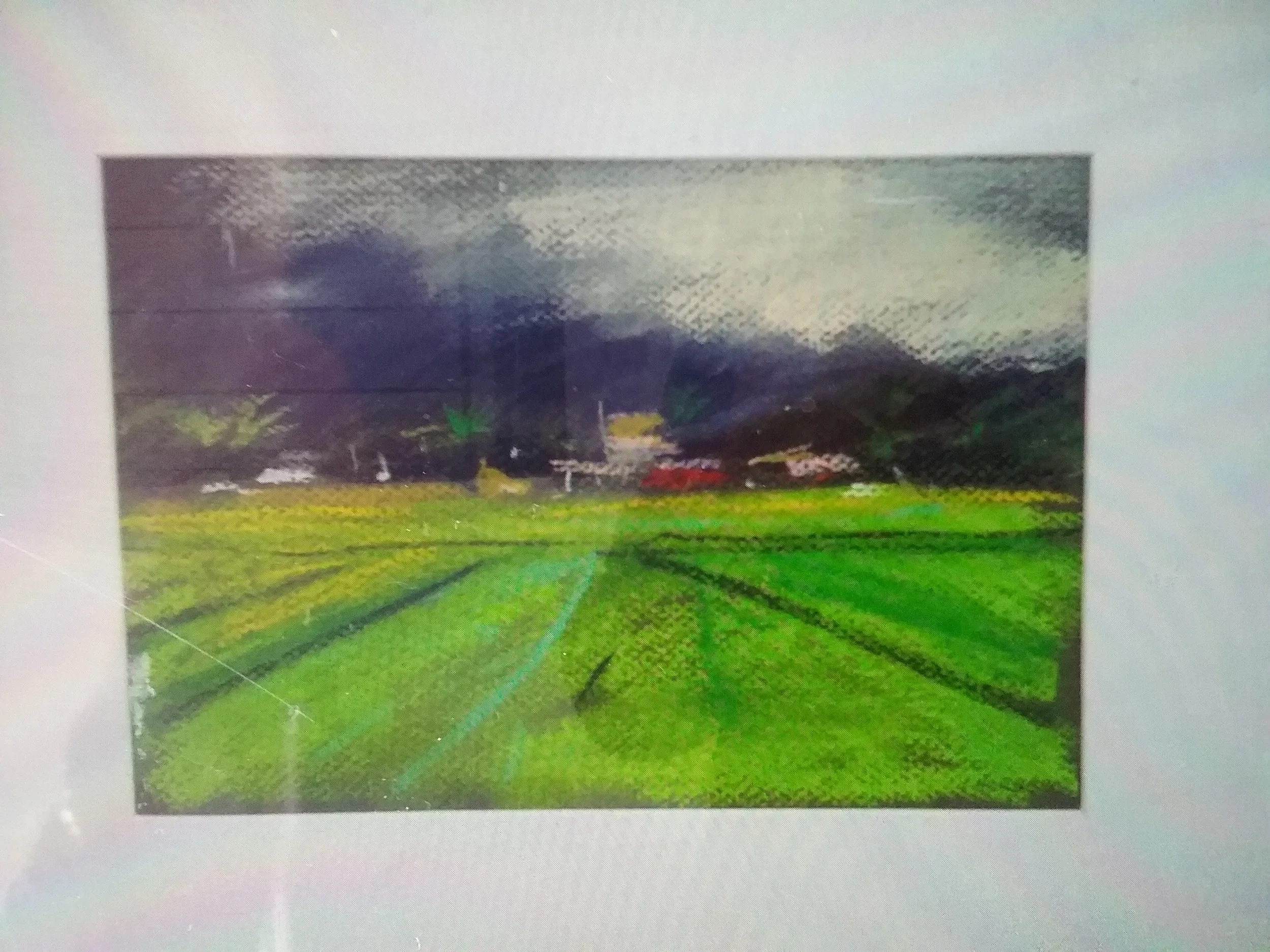 Vietnam, market garden